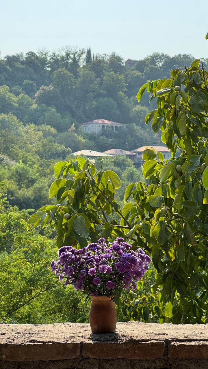 Фото Вилла Мате