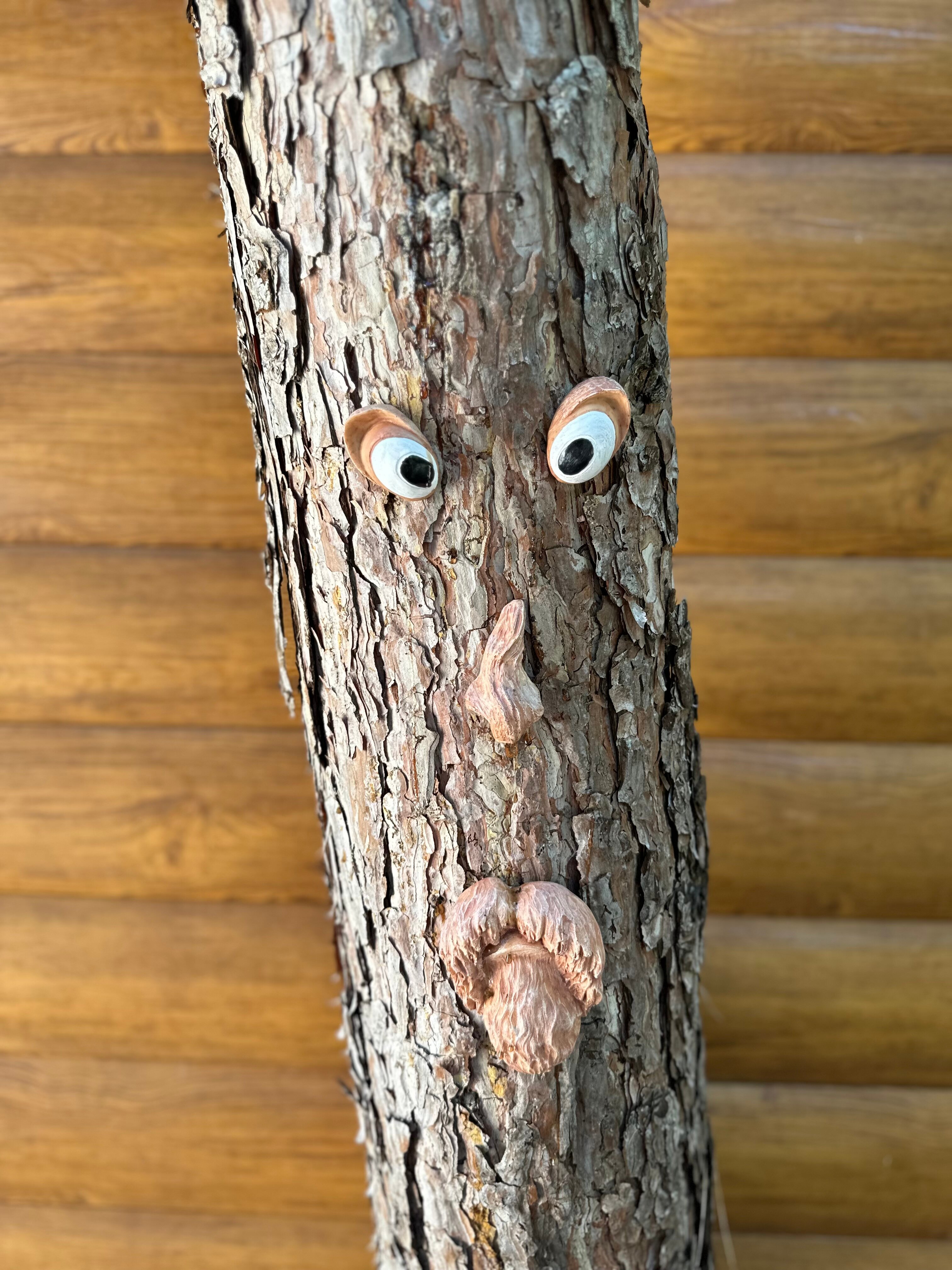 Фото Лесной домик Ель