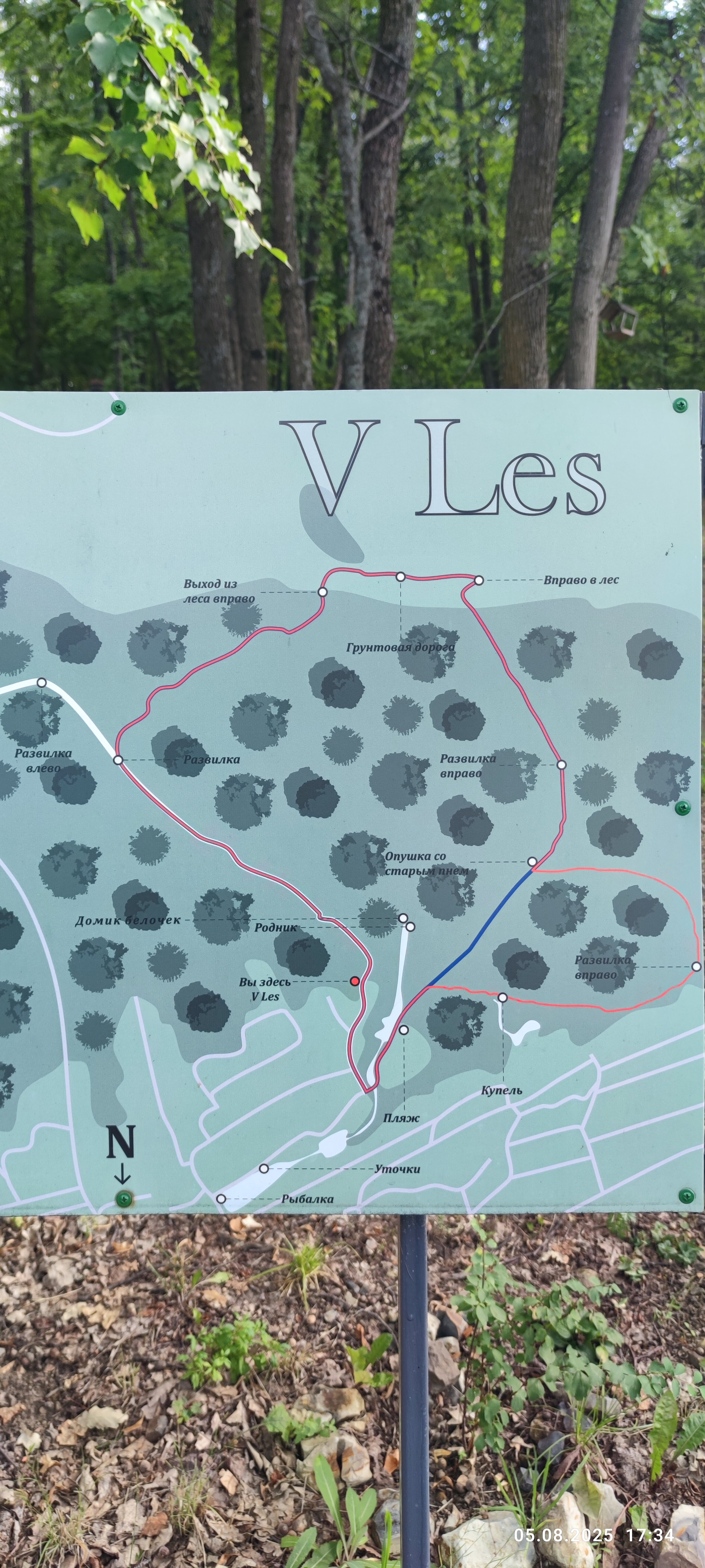 Фото В Лес Афрейм