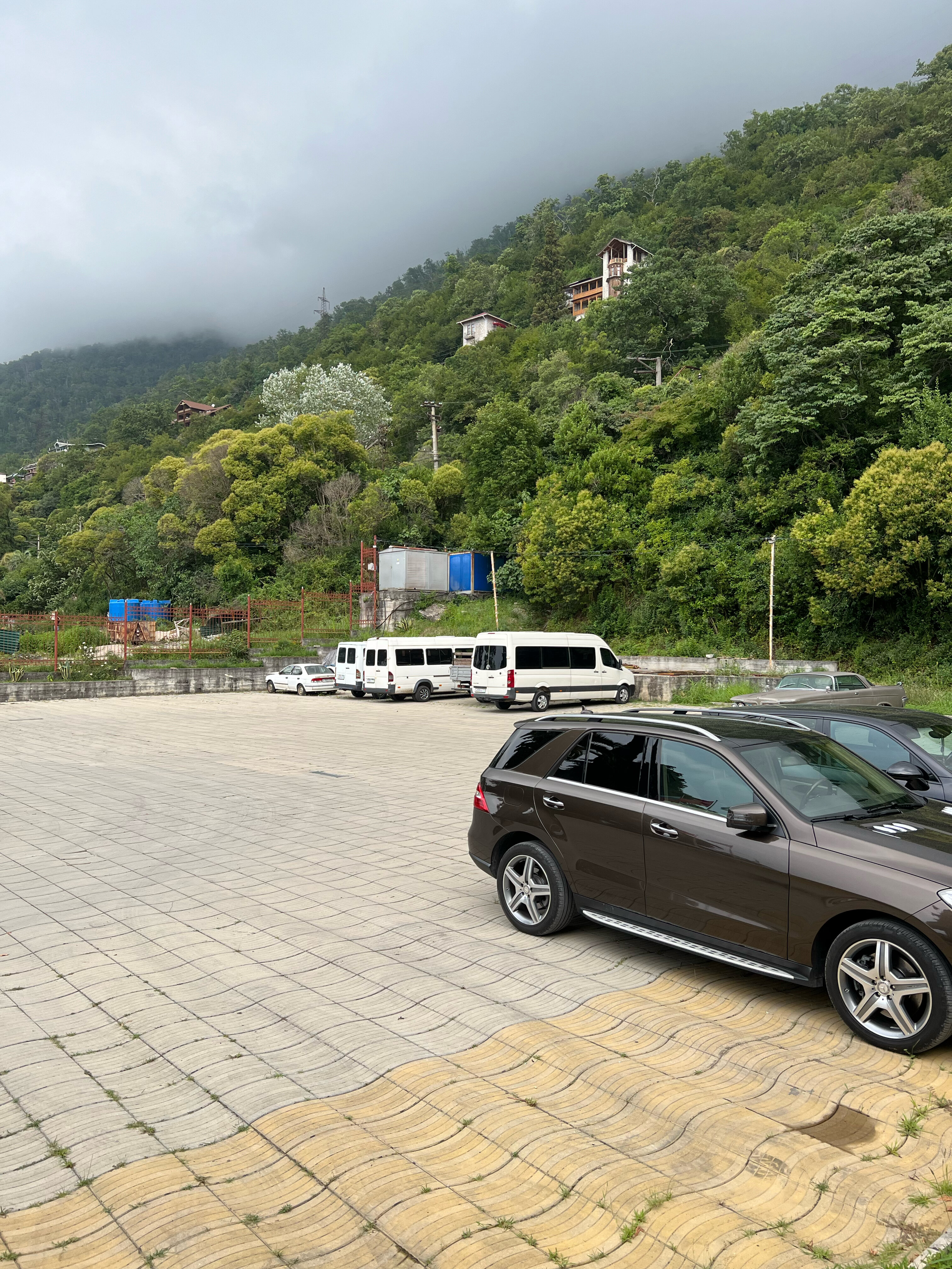 Фото Континент Гагра