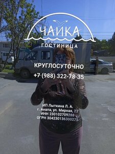 Чайка