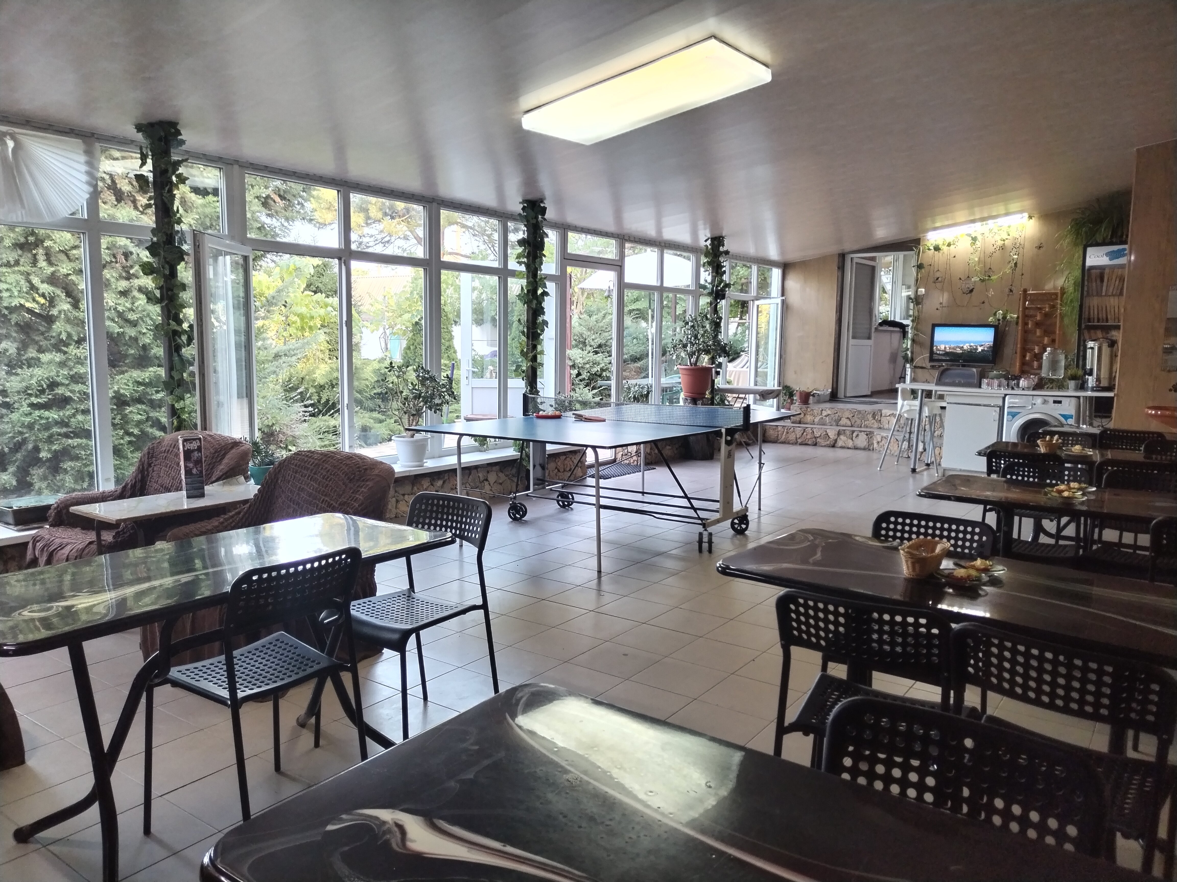 Фото Ивушка