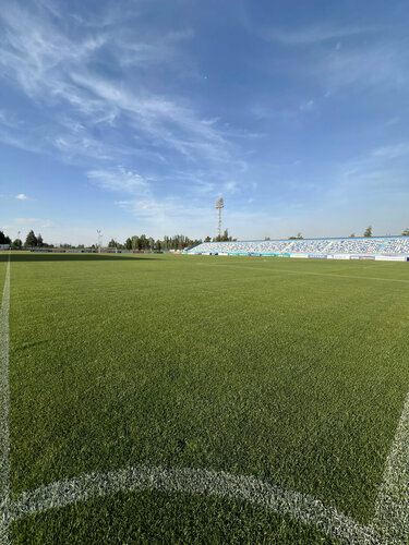 Sohildagi ayol erkakning qolini silkitadi (xususiy)