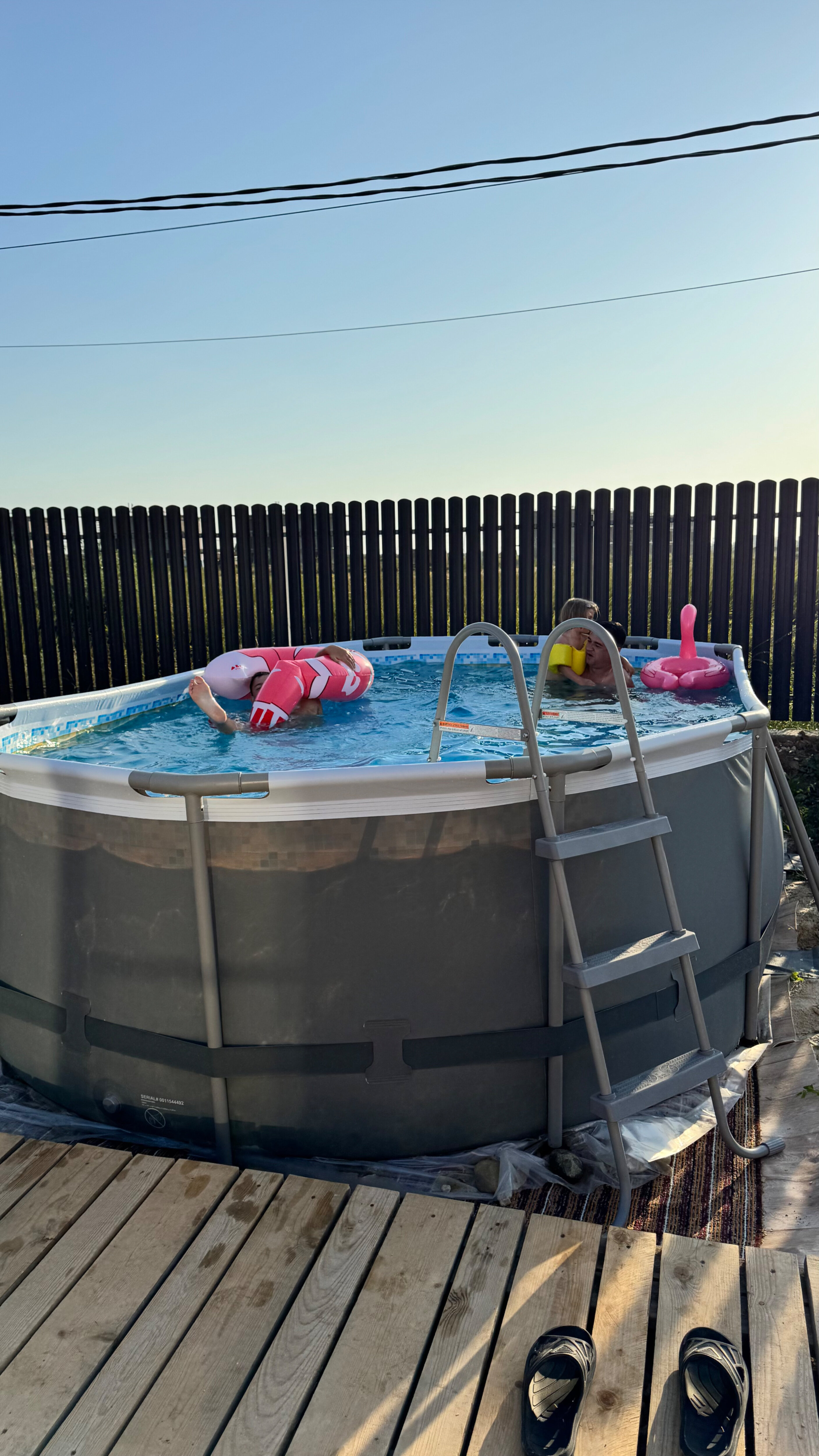 Фото Песок и дельфины