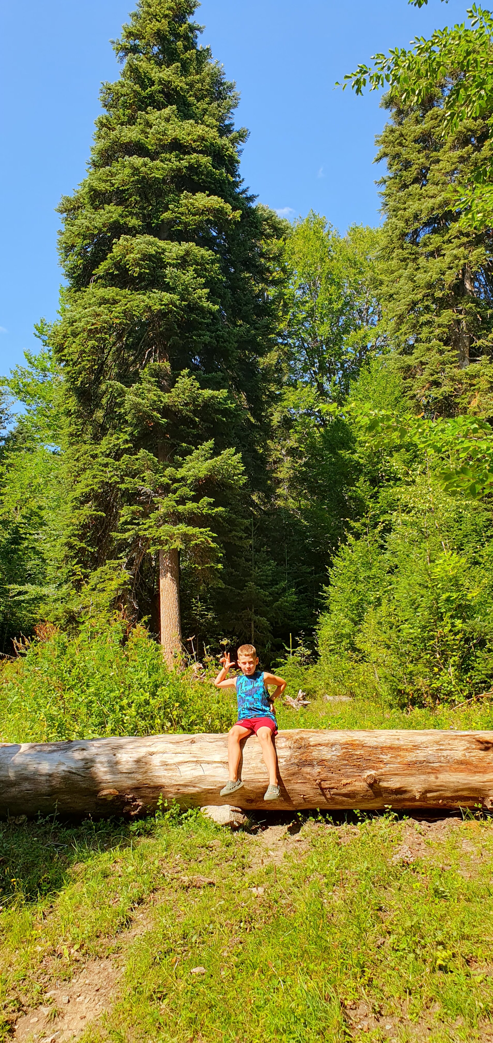 Фото Тишина