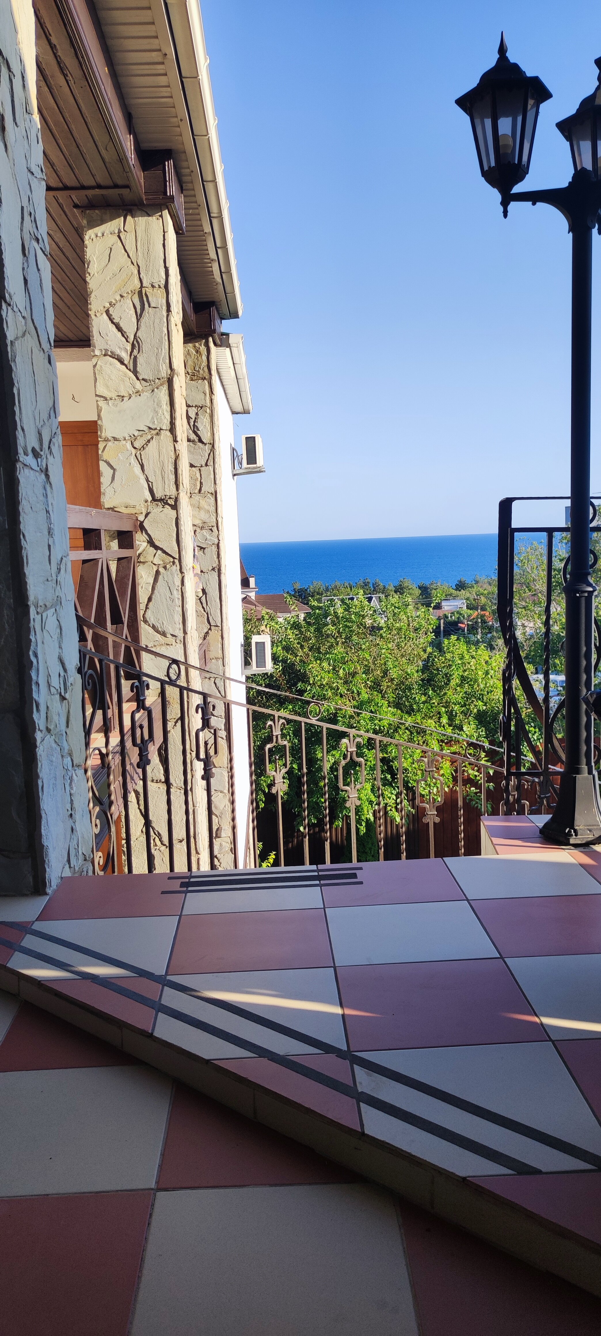 Фото Альбатрос