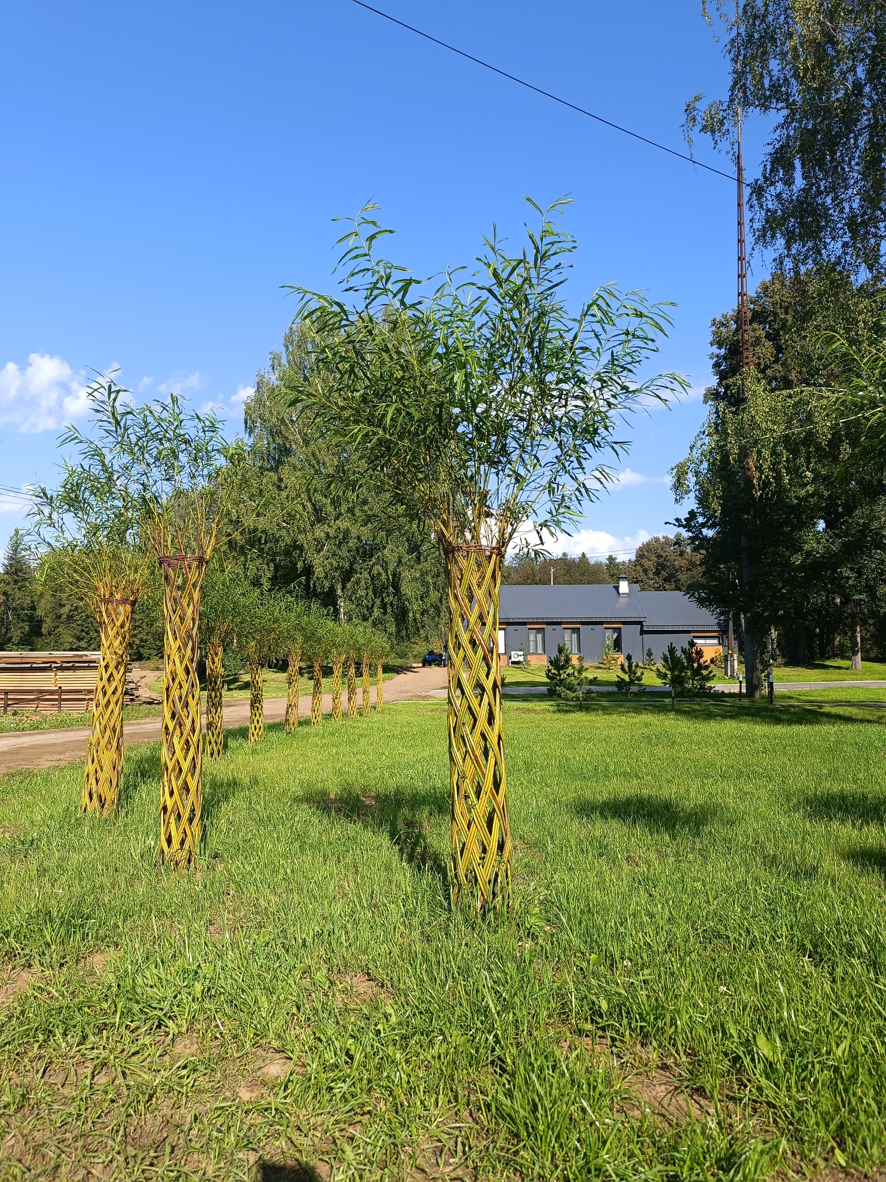 Фото Тюрагай