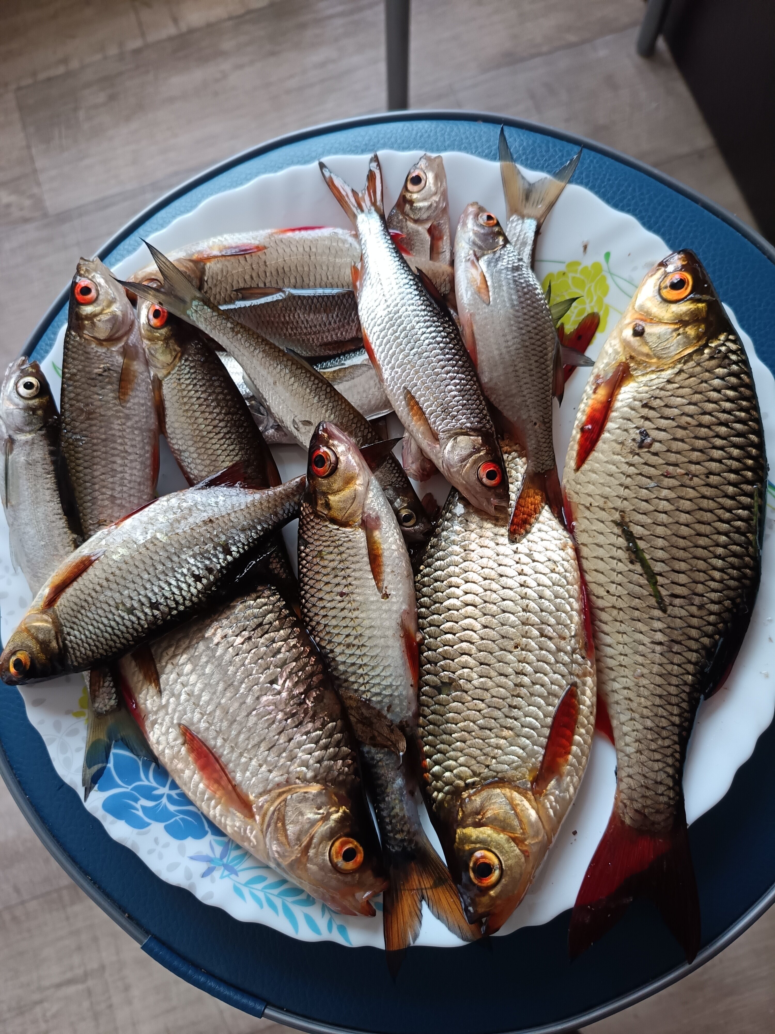 Фото Бологое Дом