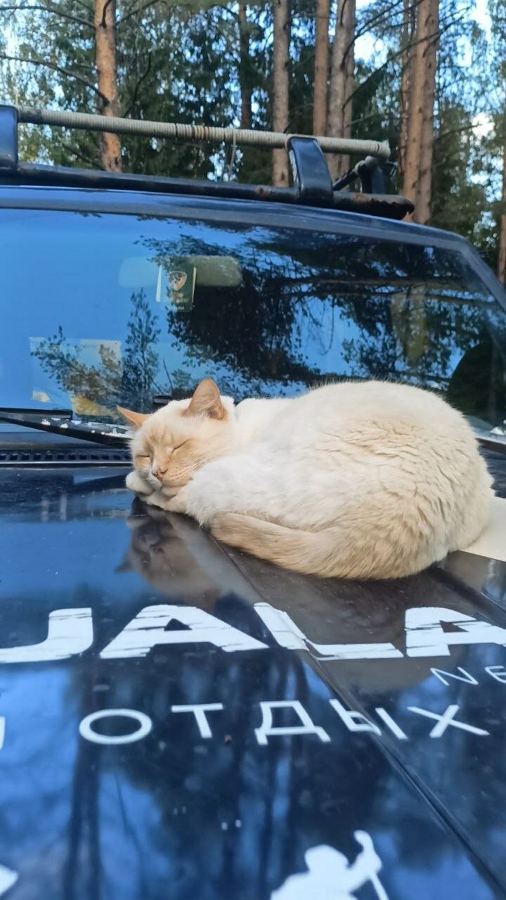 Фото Карьяла Парк