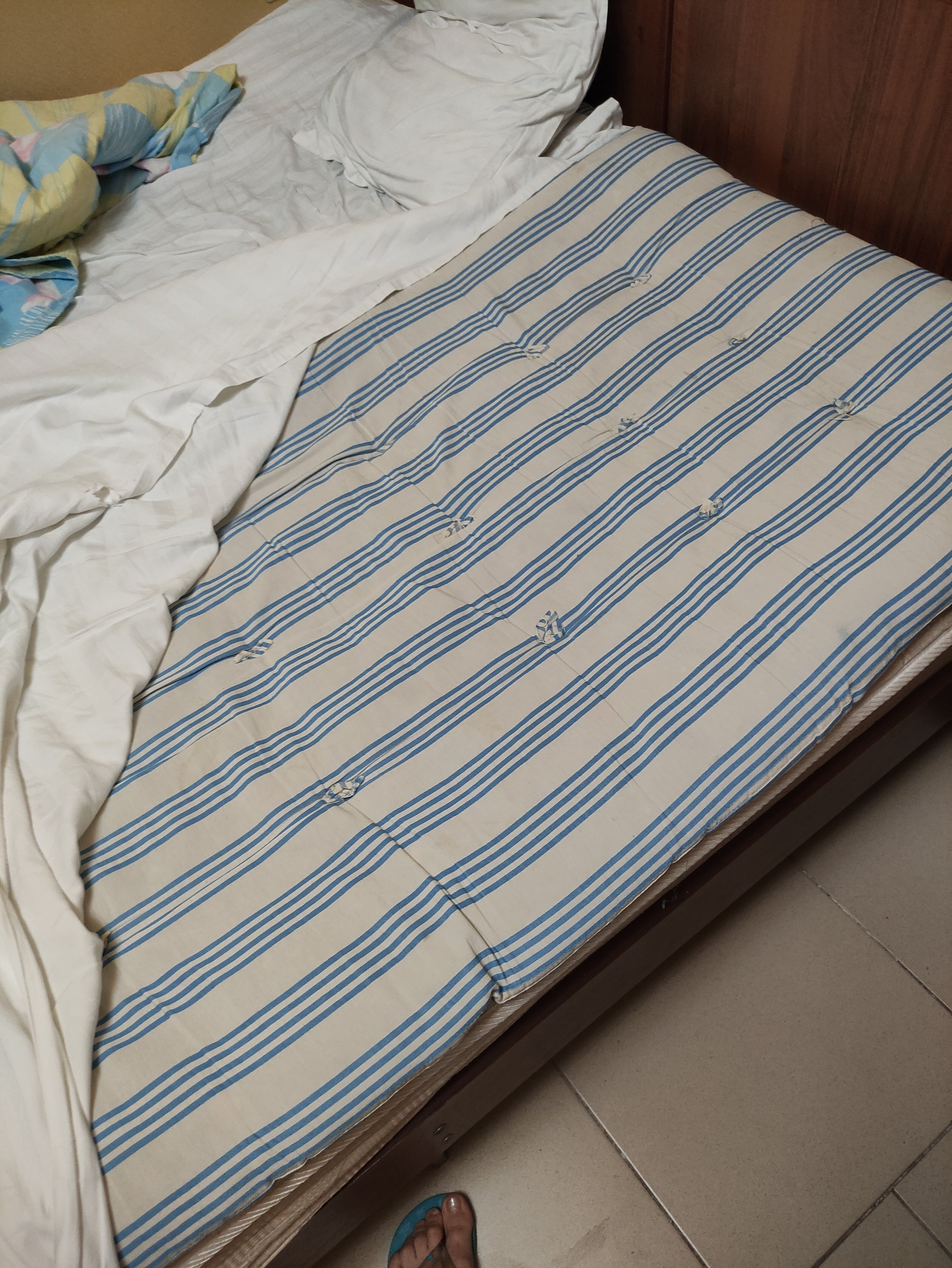 Фото Бугенвиллия