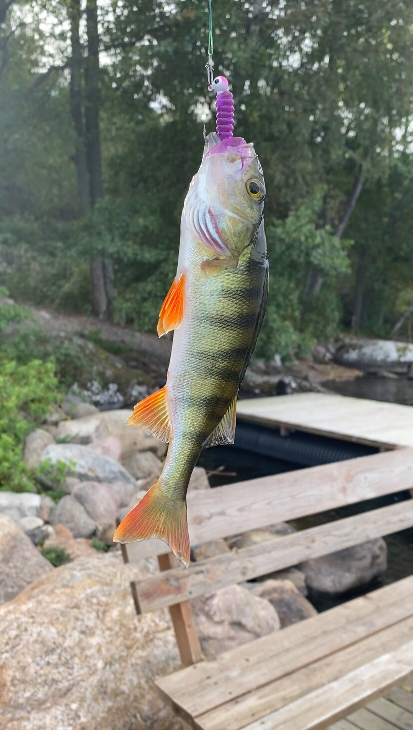 Фото Belka Village