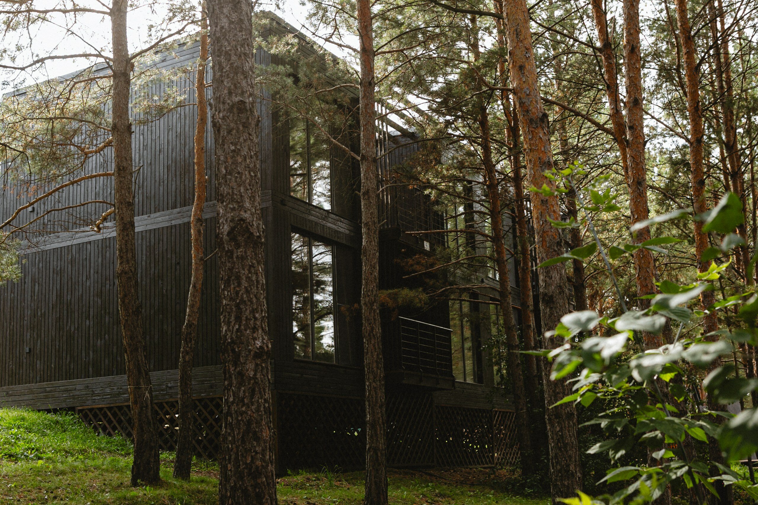 Фото Эко-клуб Шышки