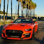 Ruprokat Soçi Park Otel (Kontinentalniy Avenue No:6/10, Urban-Type Settlement of Sirius), oto kiralama  Krasnodarski krayından