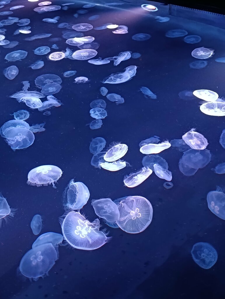 Shopping mall Tokyo Solamachi, Tokyo, photo