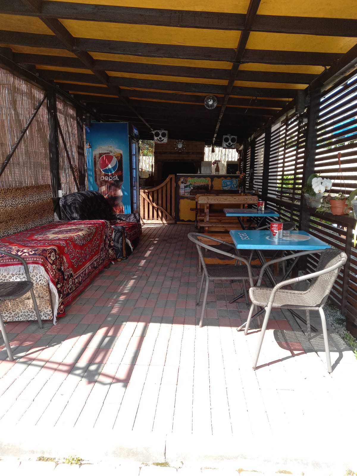 Фото Апельсин