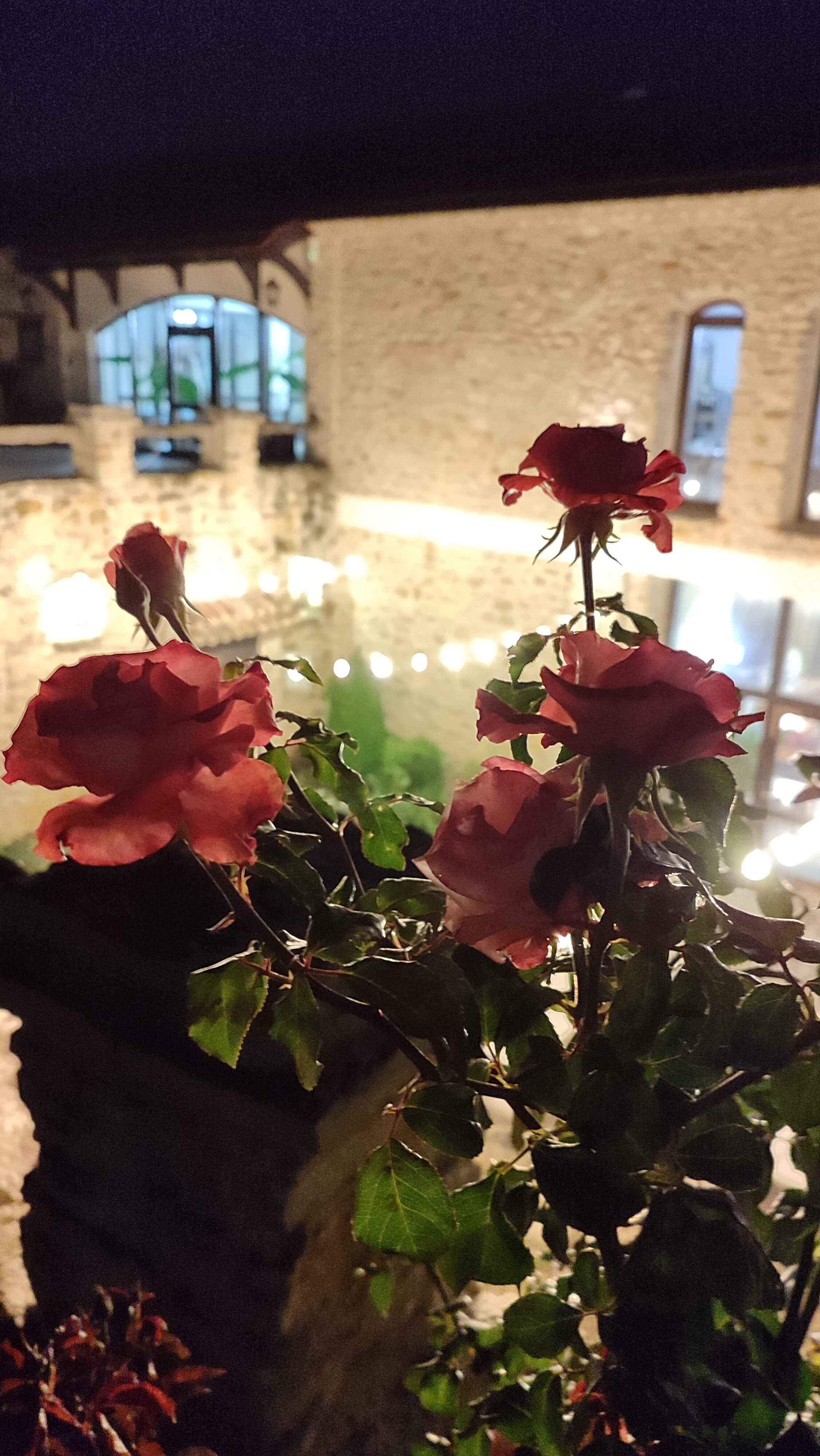 Фото Шато Андре