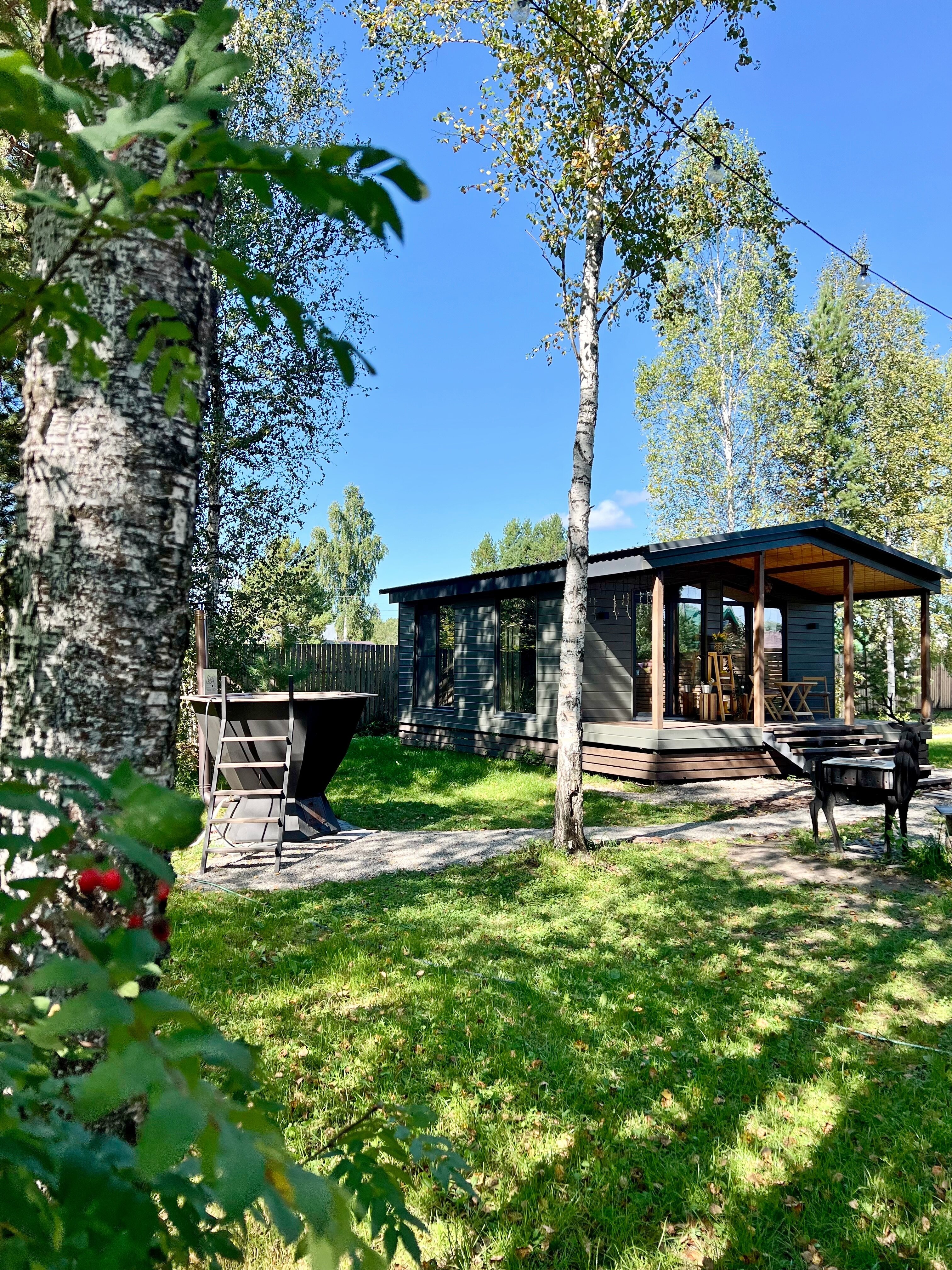 Фото Эхо леса