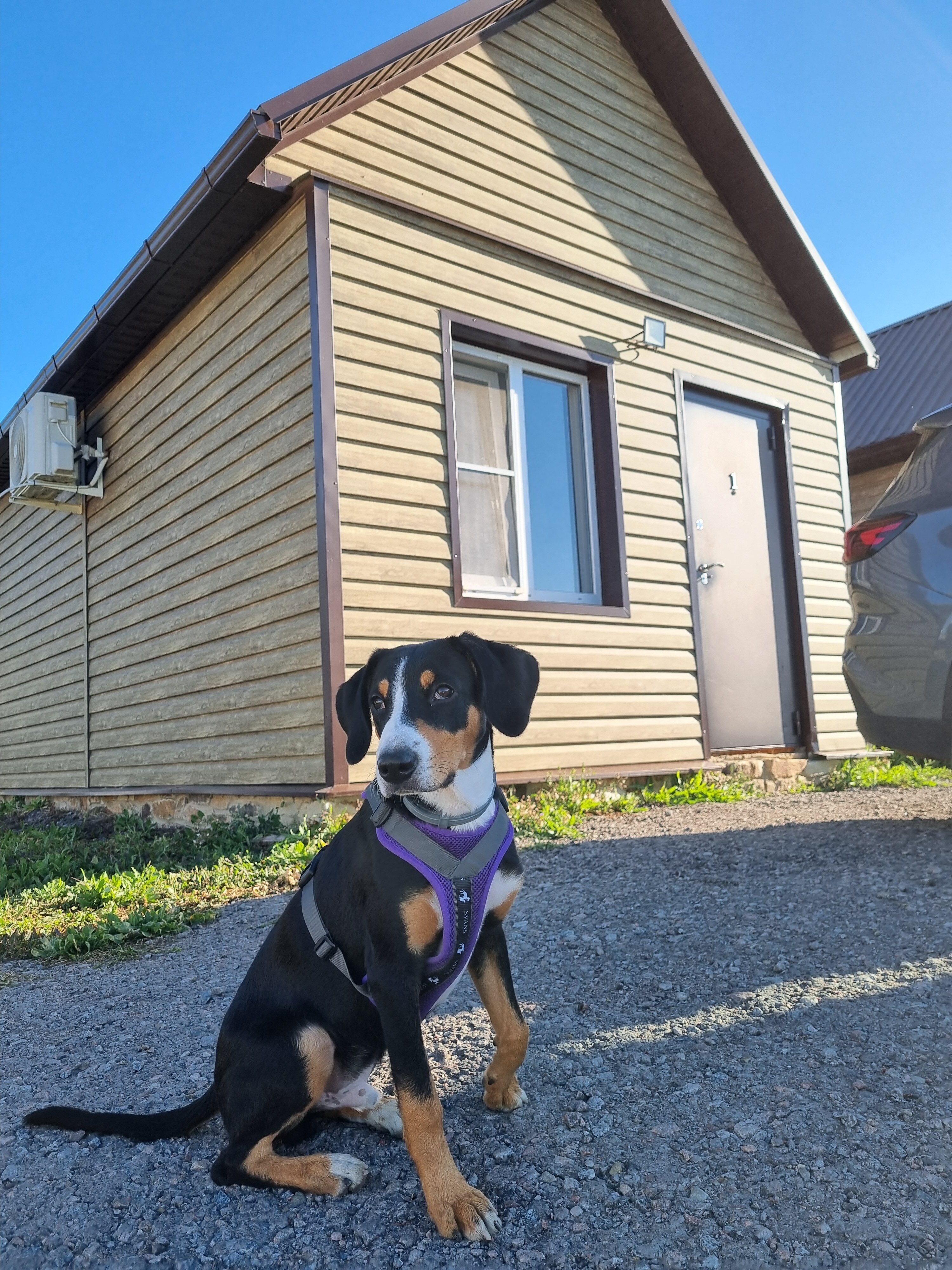 Фото Домики у Пруда