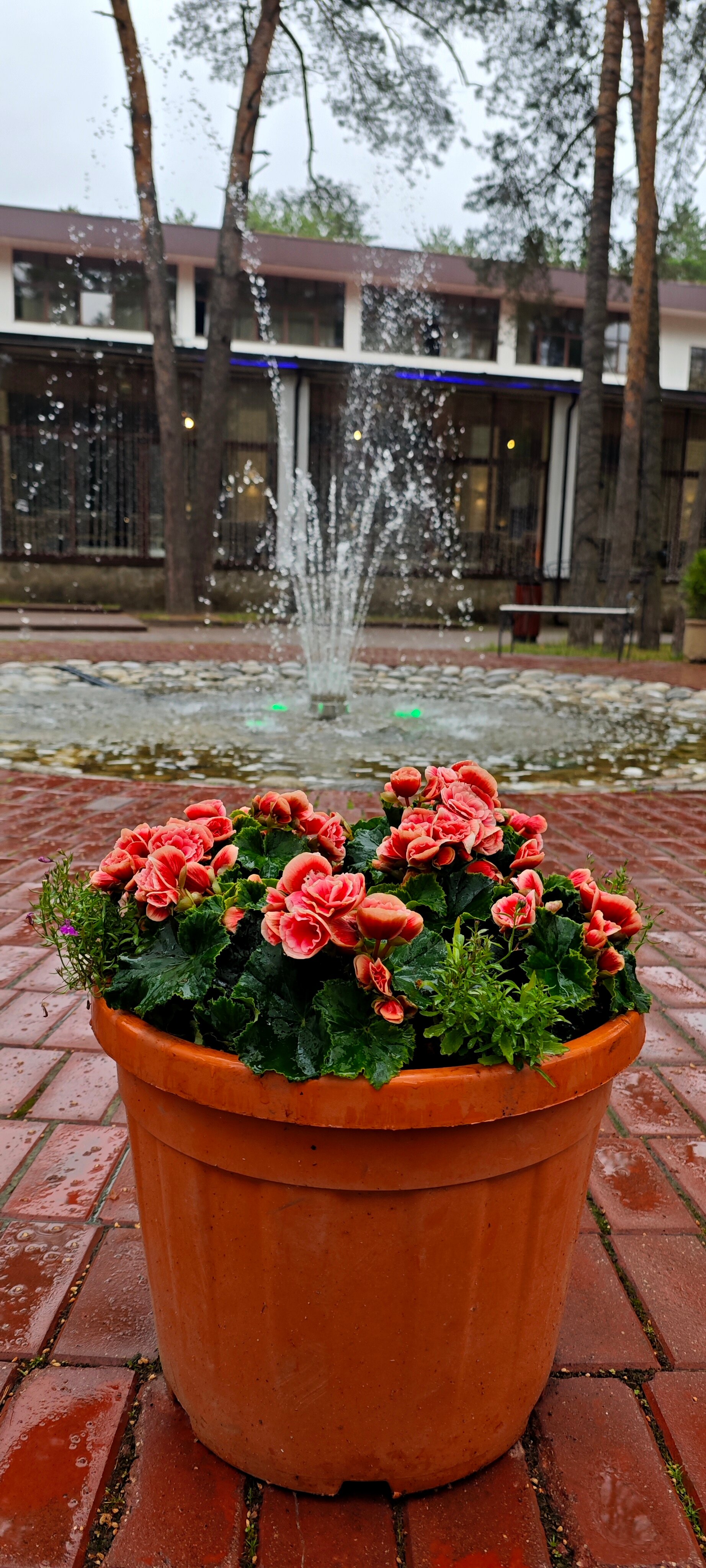 Фото Русский