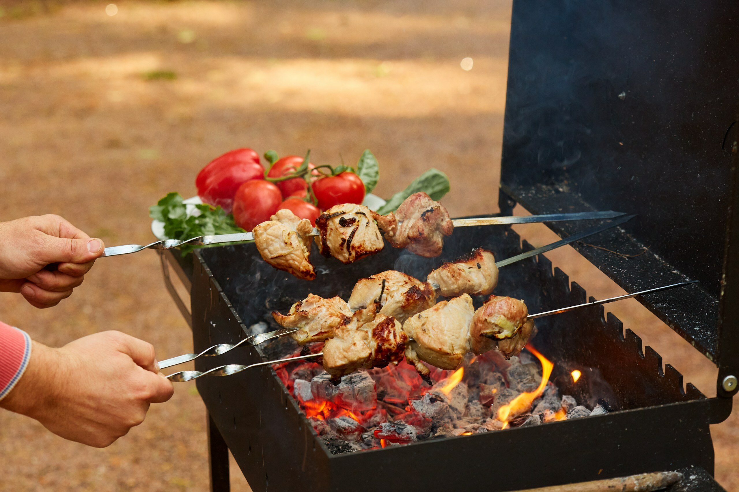 Фото Репинские дачи