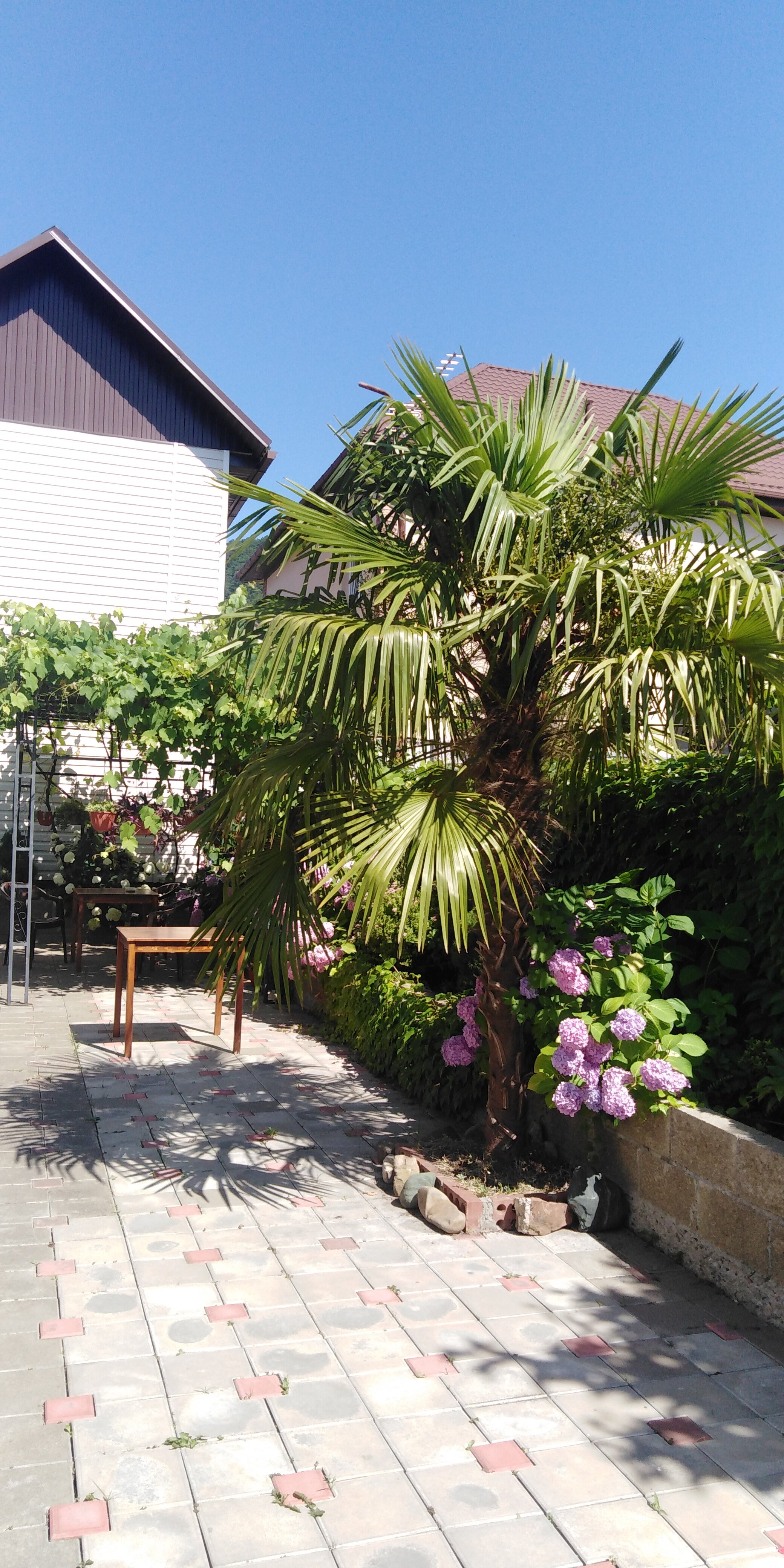 Фото Киркоров Сити