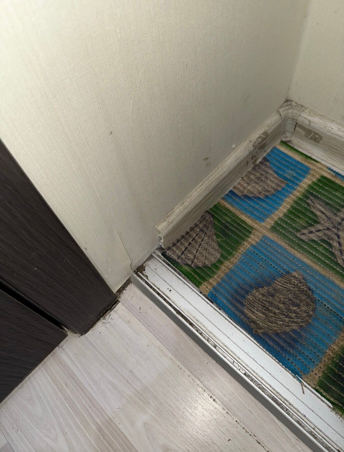 Фото Квартиркин на Советской