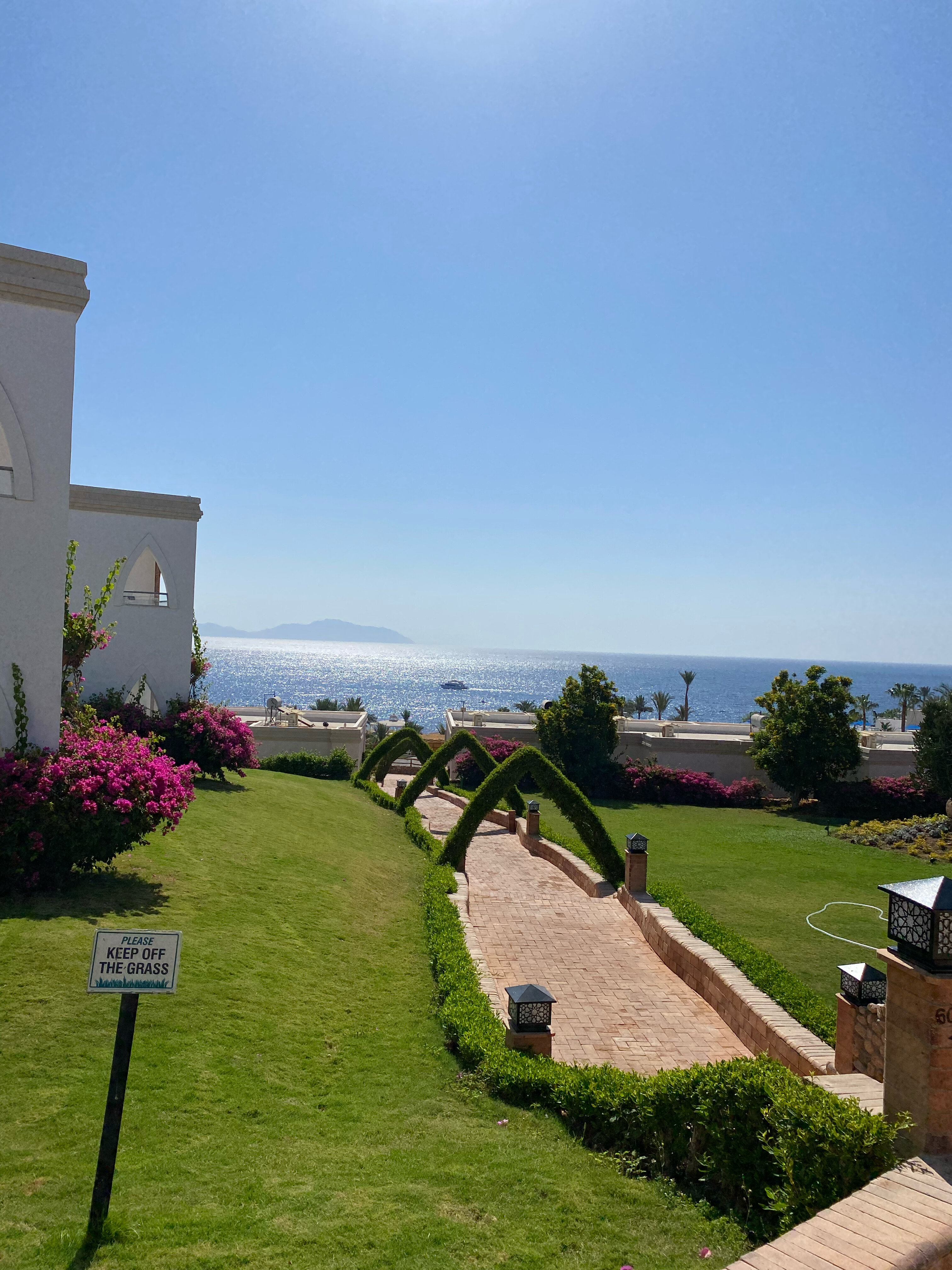 Фото Club Reef Resort