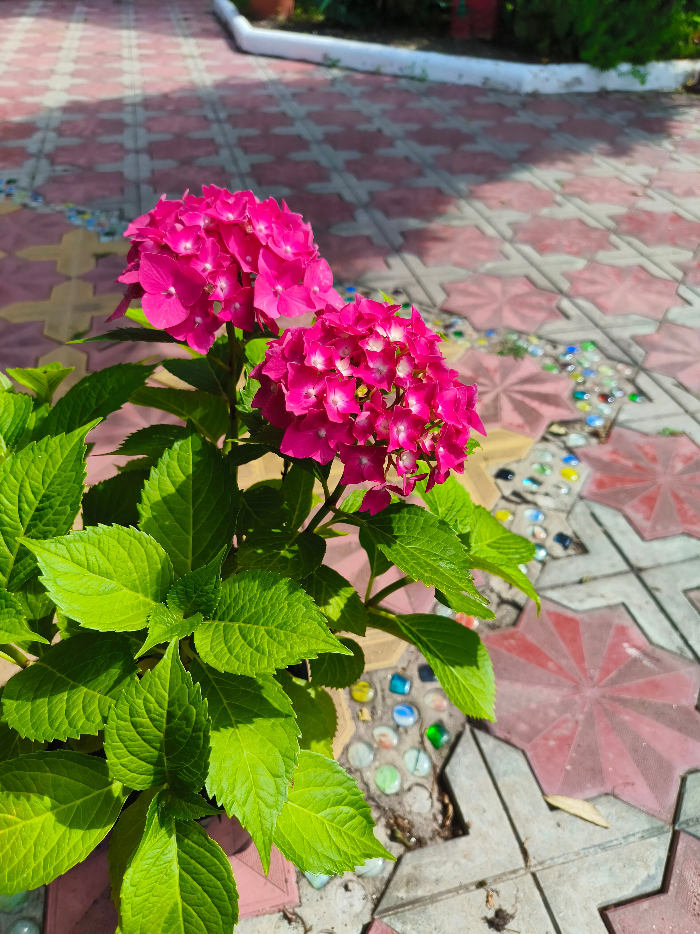 Фото Сахалин