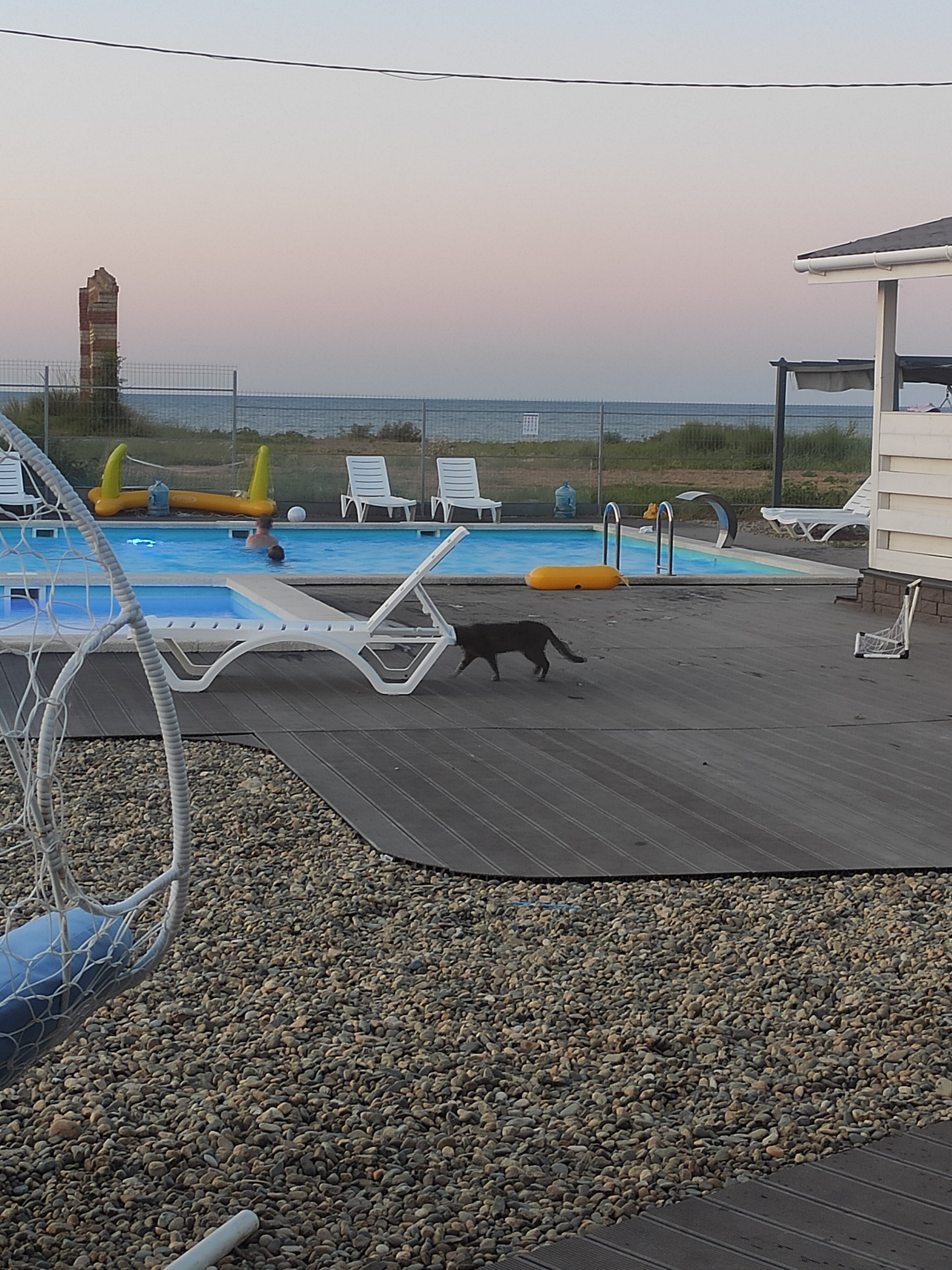 Фото Альбатрос