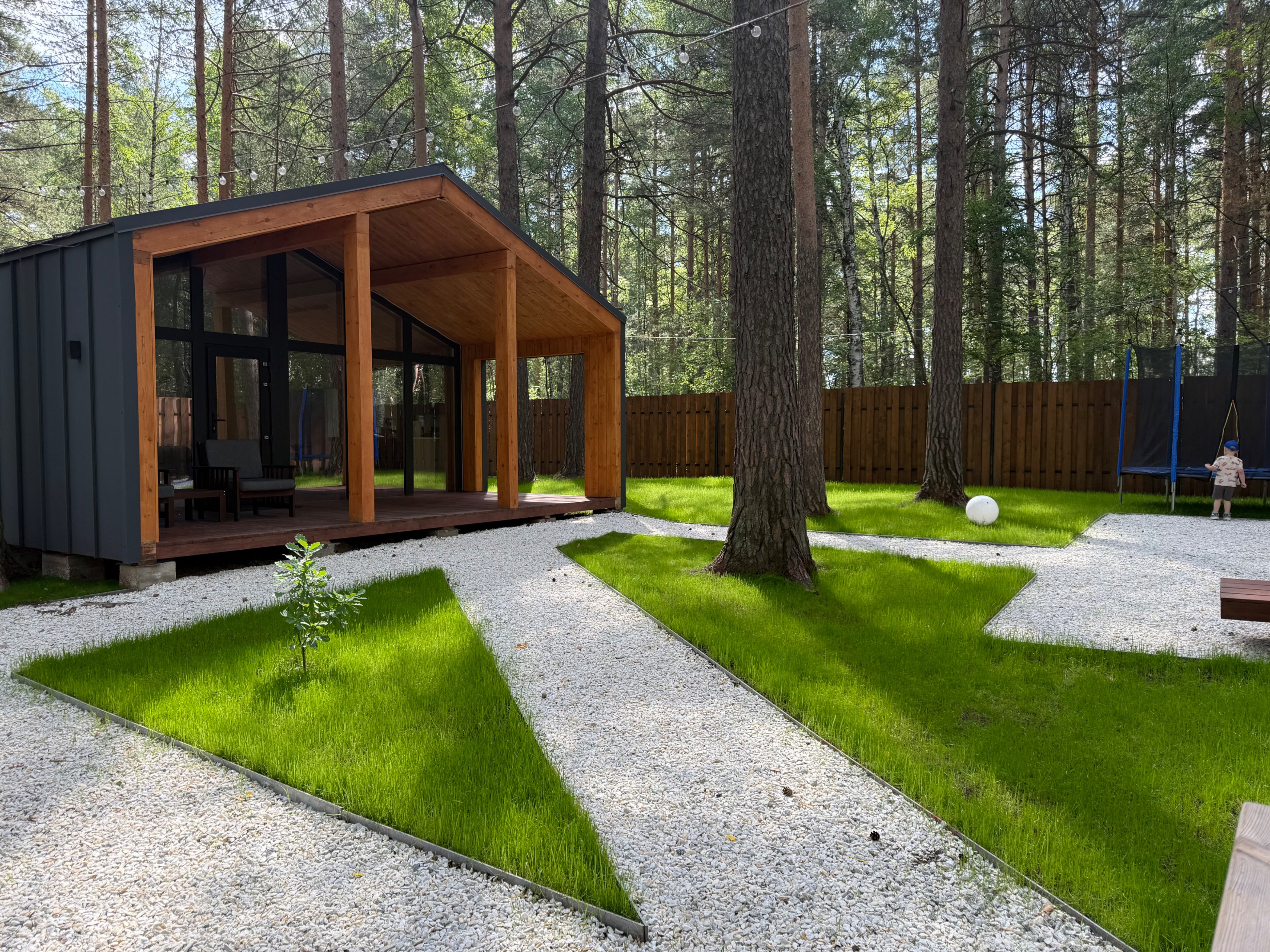 Фото Елки&голки