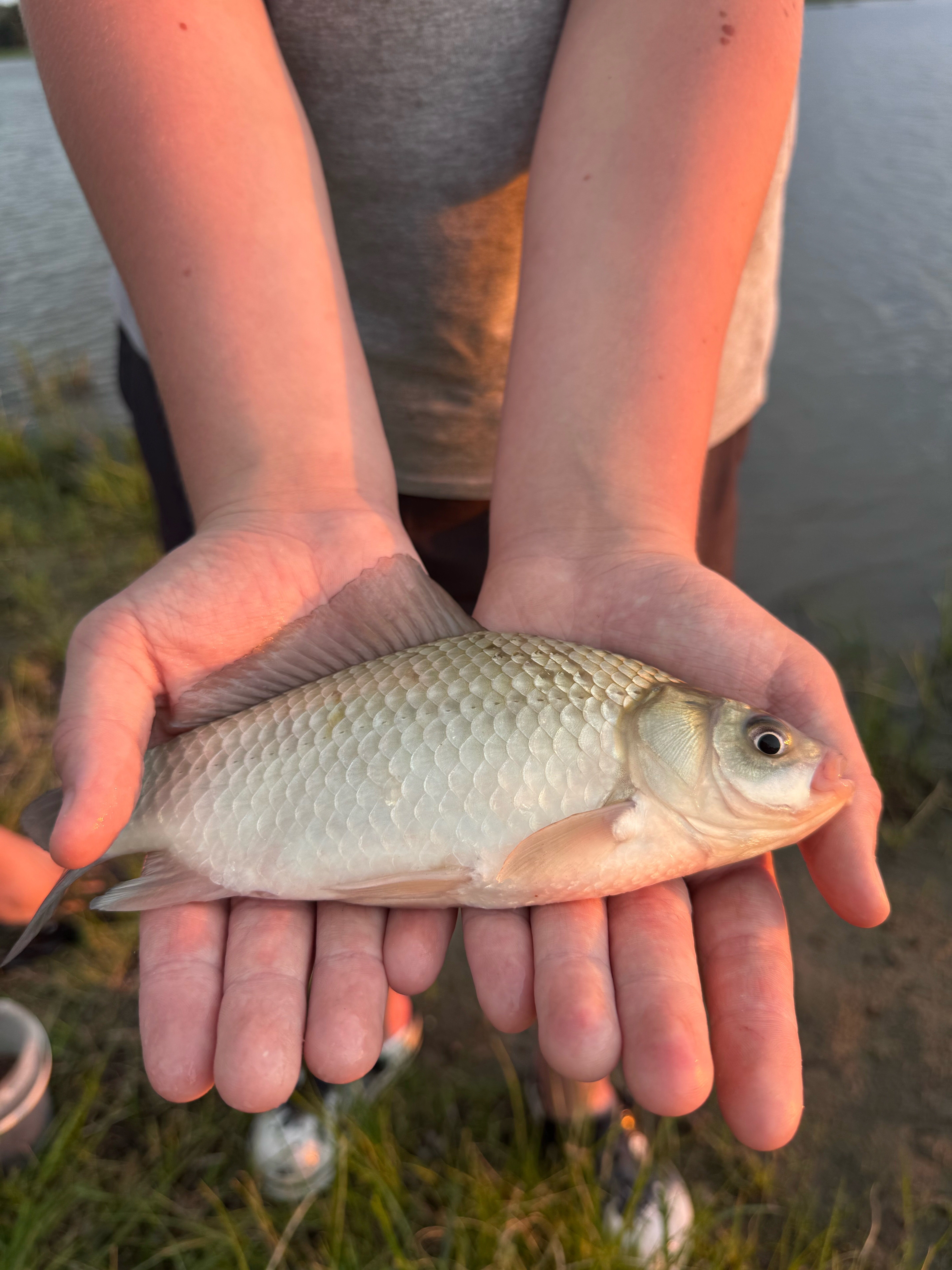 Фото Lososevo Village