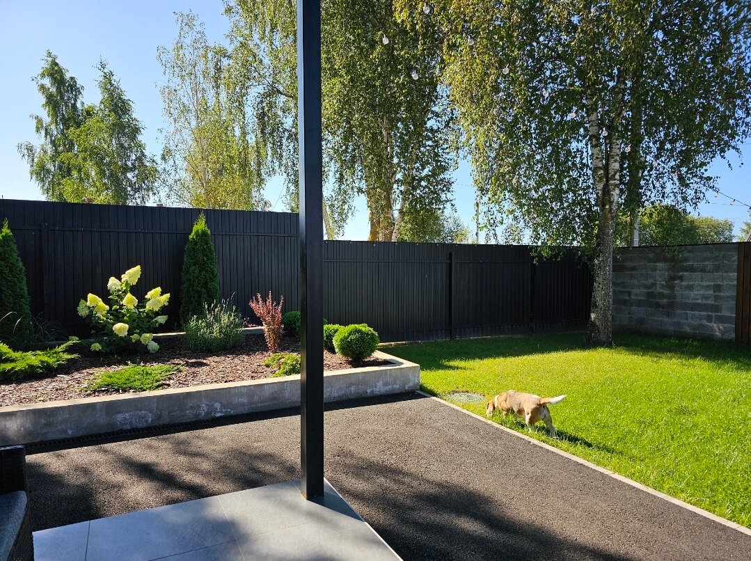 Фото У. Дача