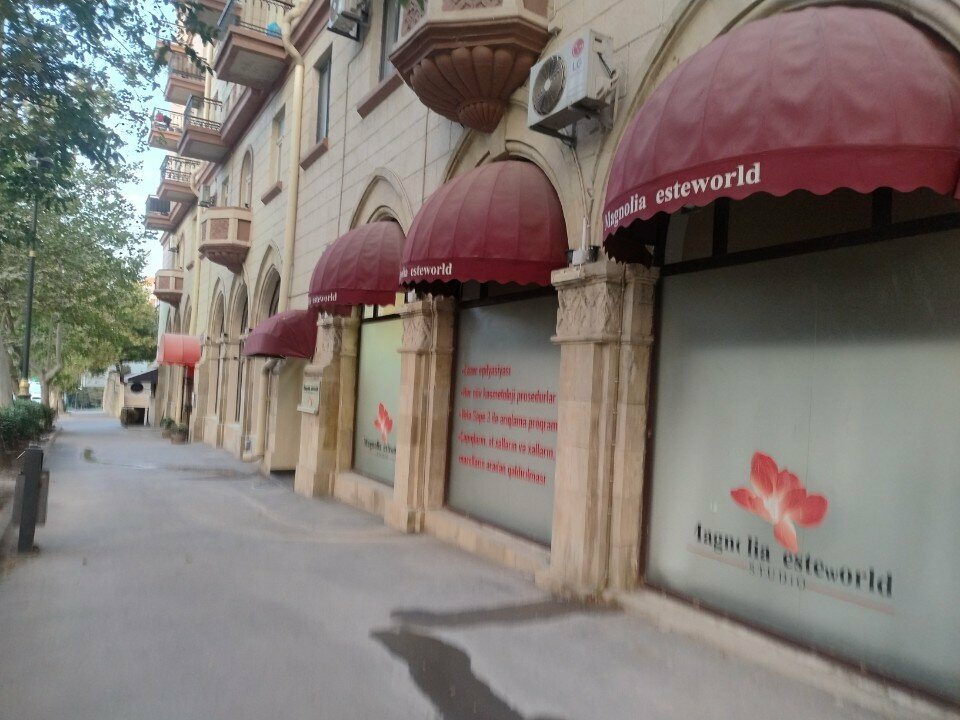 Gözəllik salonu Magnolia Esterworld, Bakı, foto