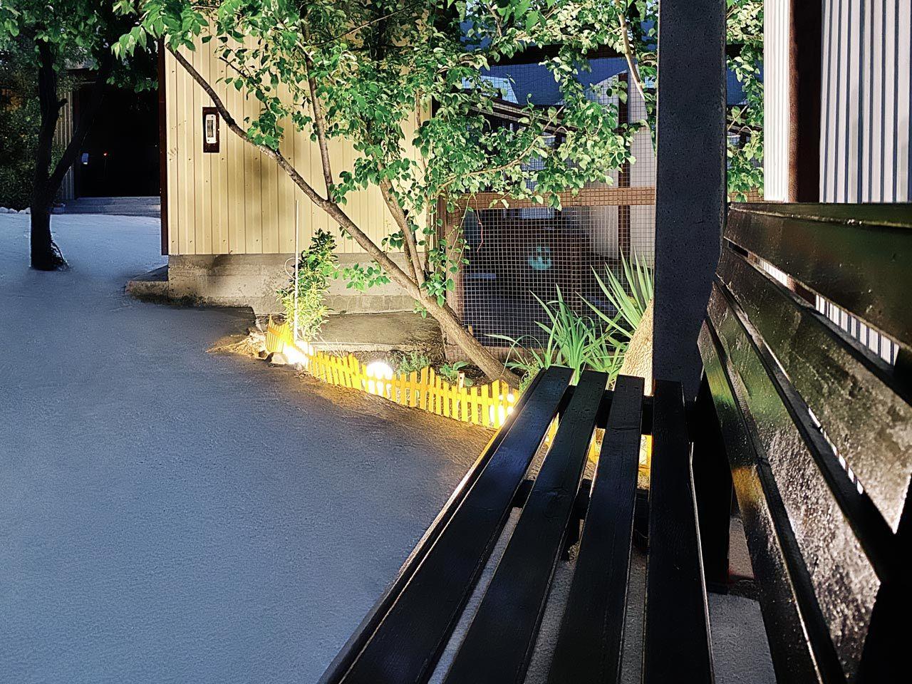 Фото Колибри