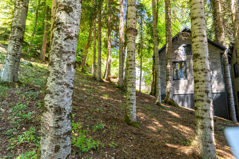 Фото Zerada House