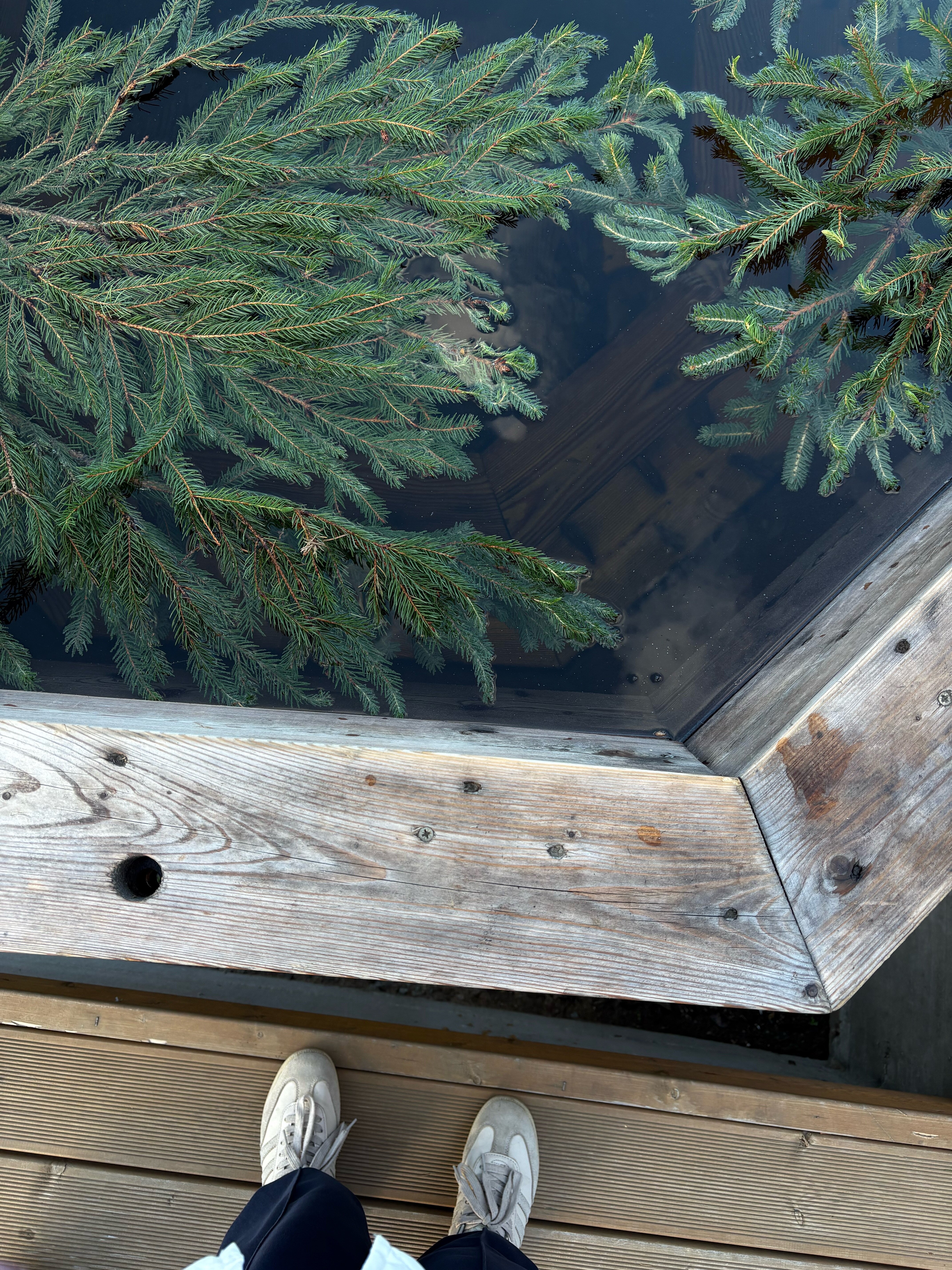 Фото На Холме