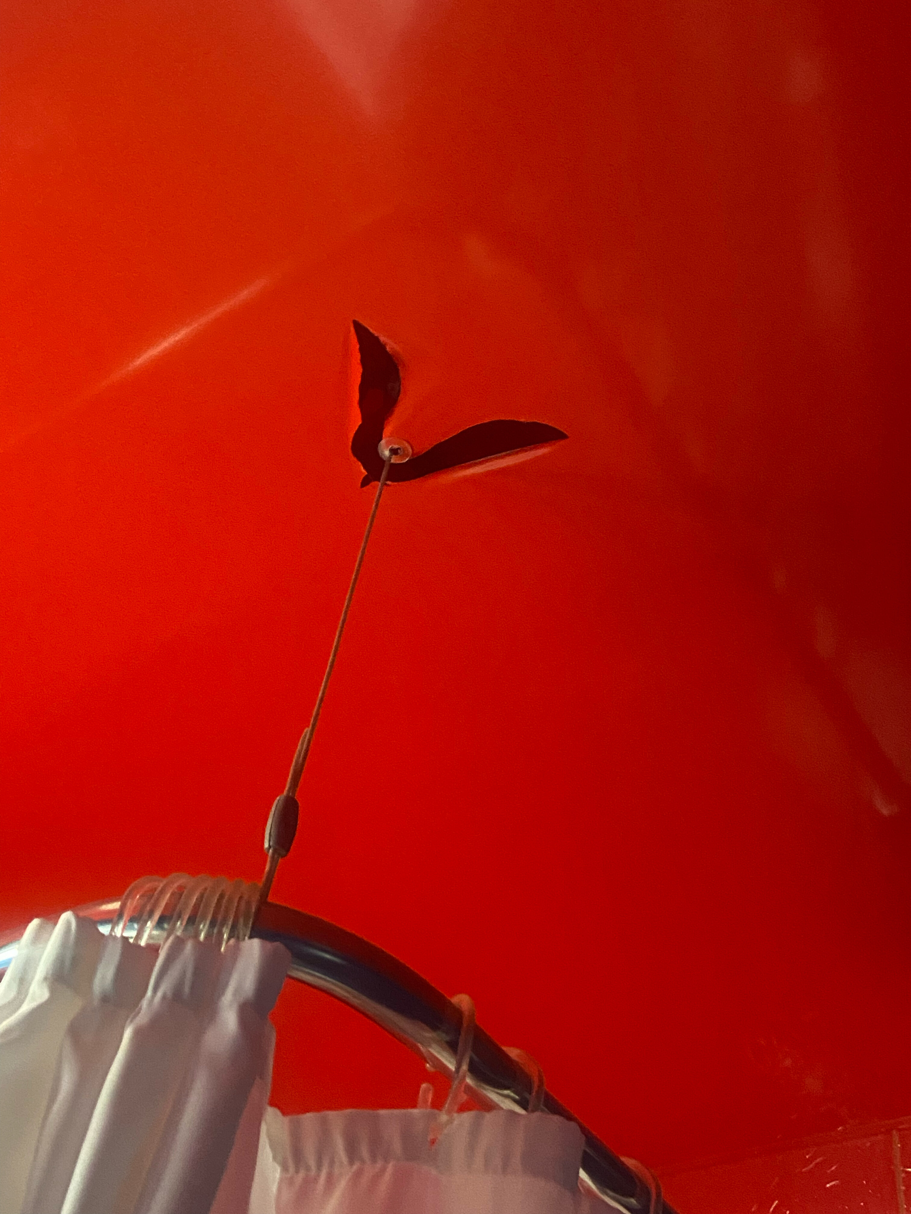 Фото Rosa Del Viento