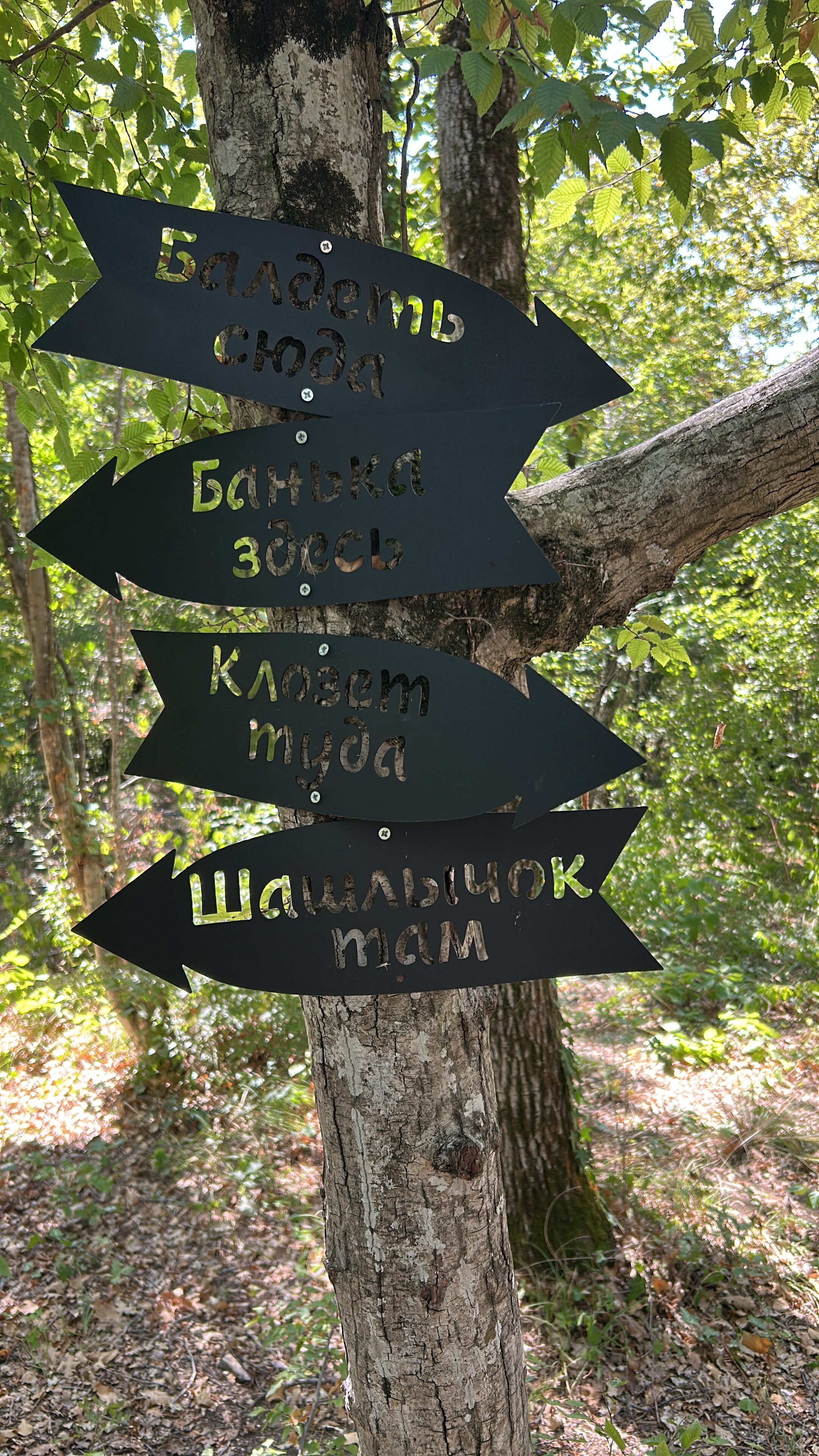 Фото Горный Енот