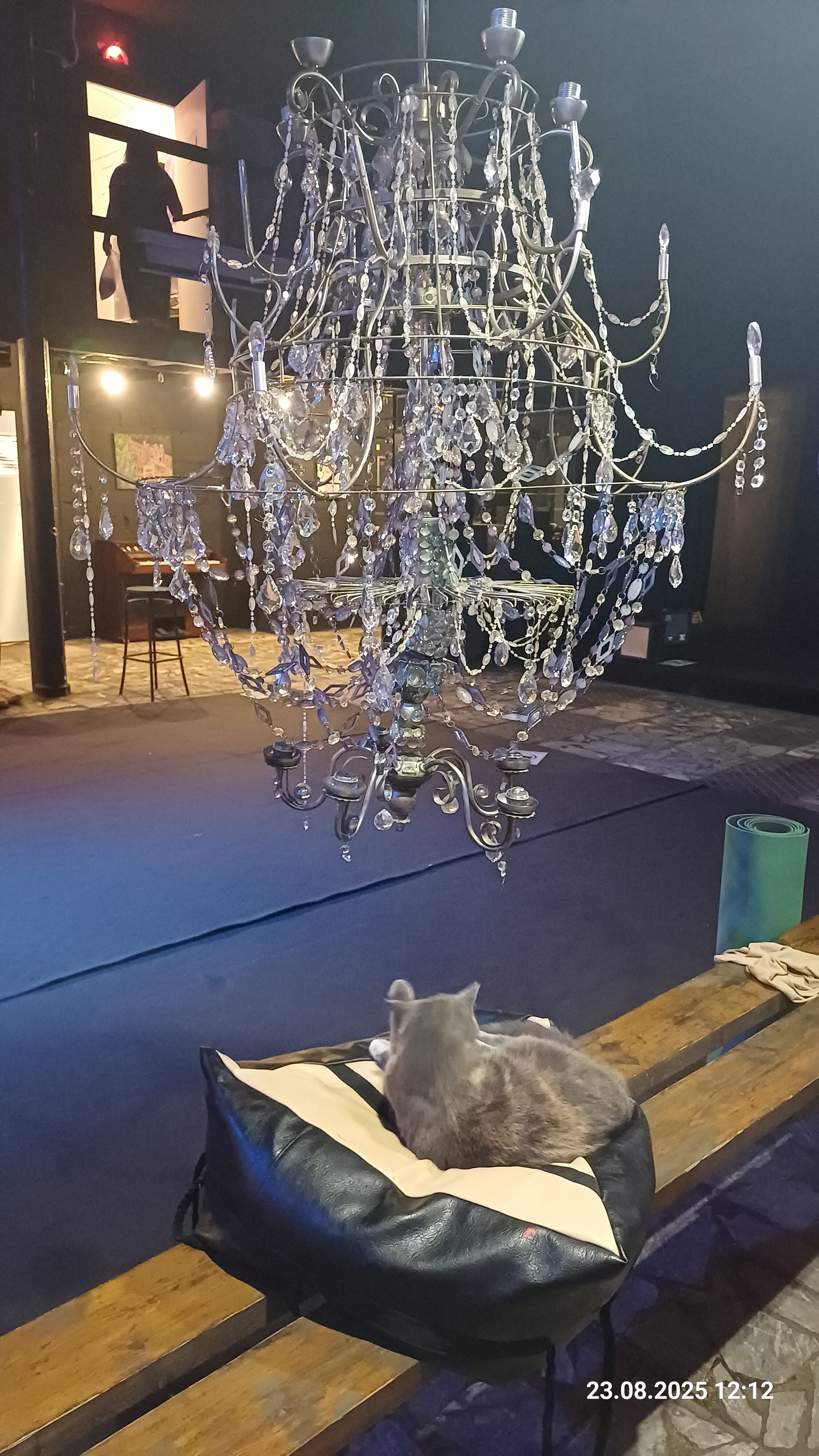 Фото Гуслица