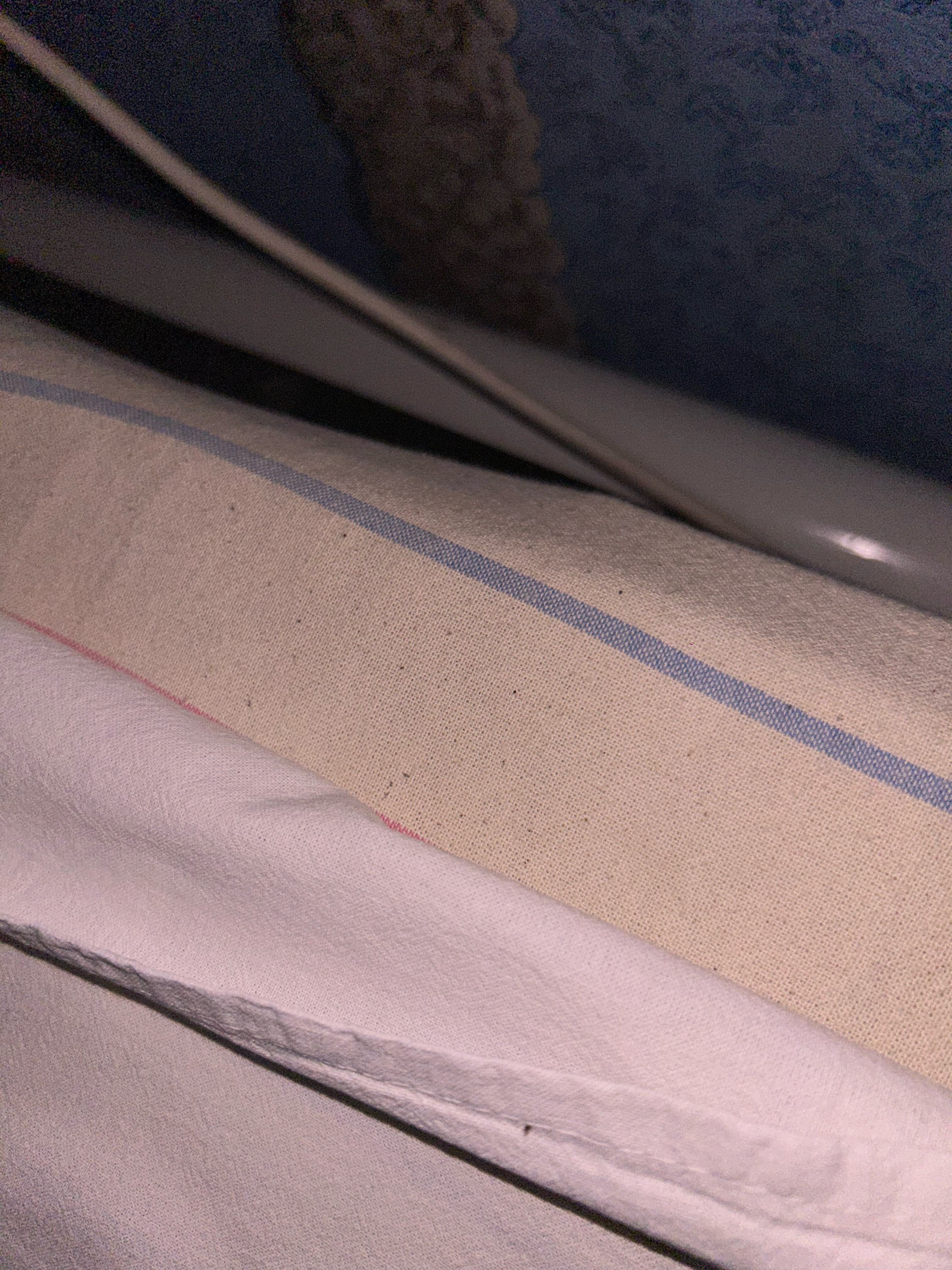 Фото Светлана