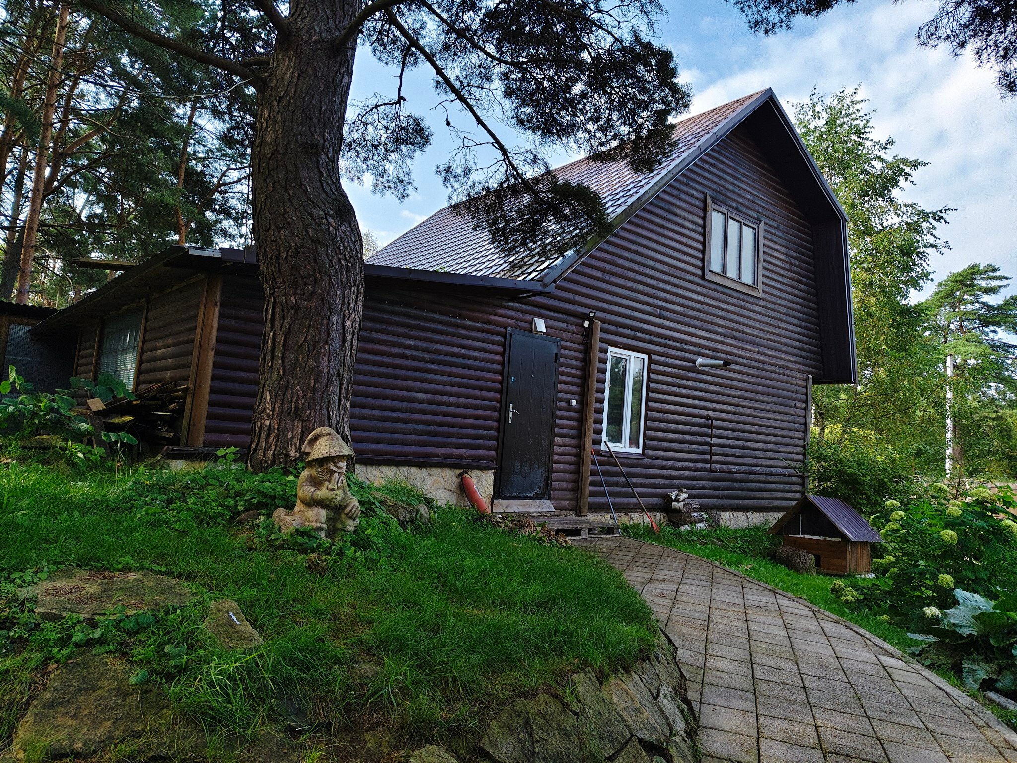 Фото Смоленка