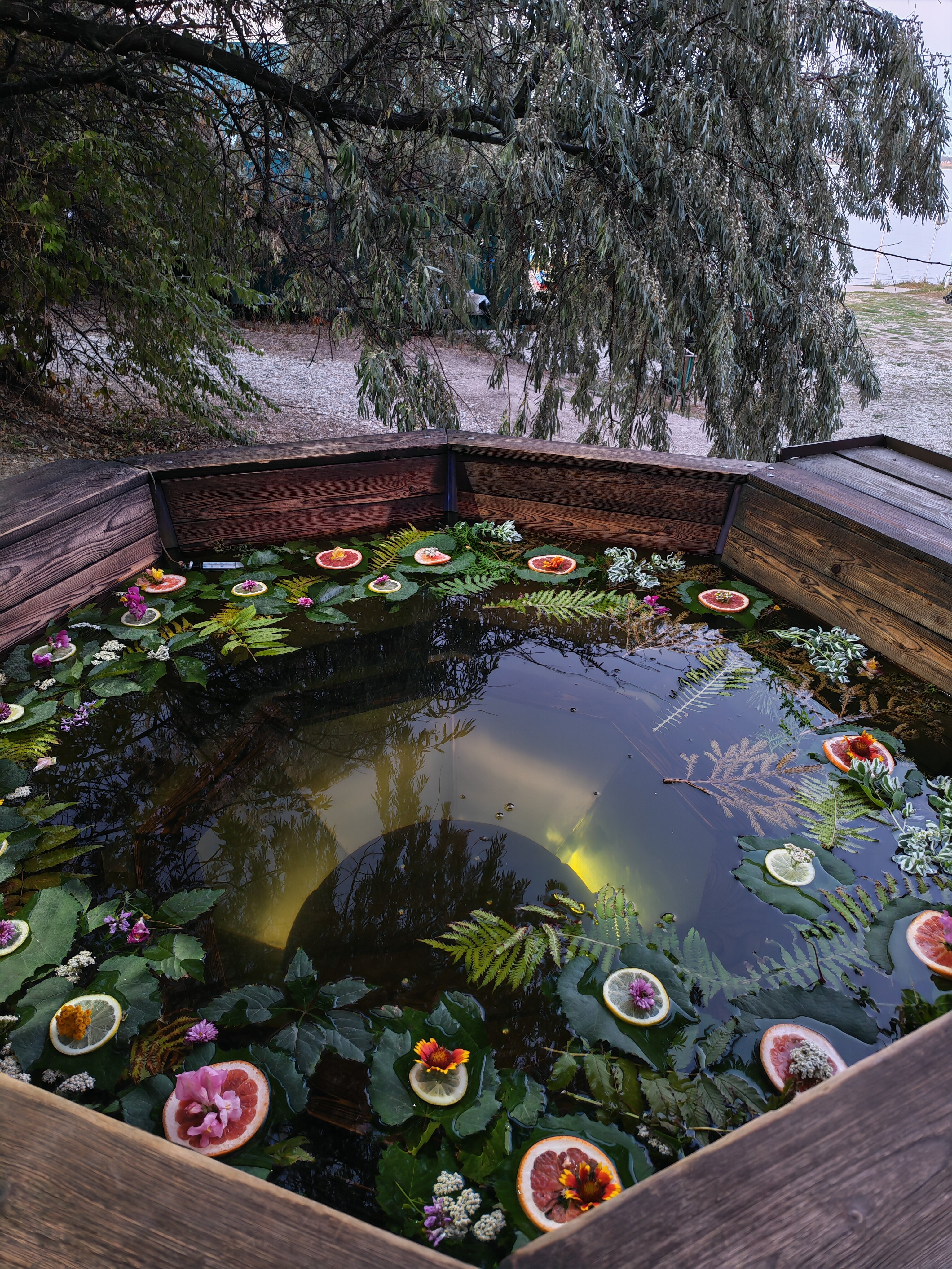 Фото Глэмпинг Парус