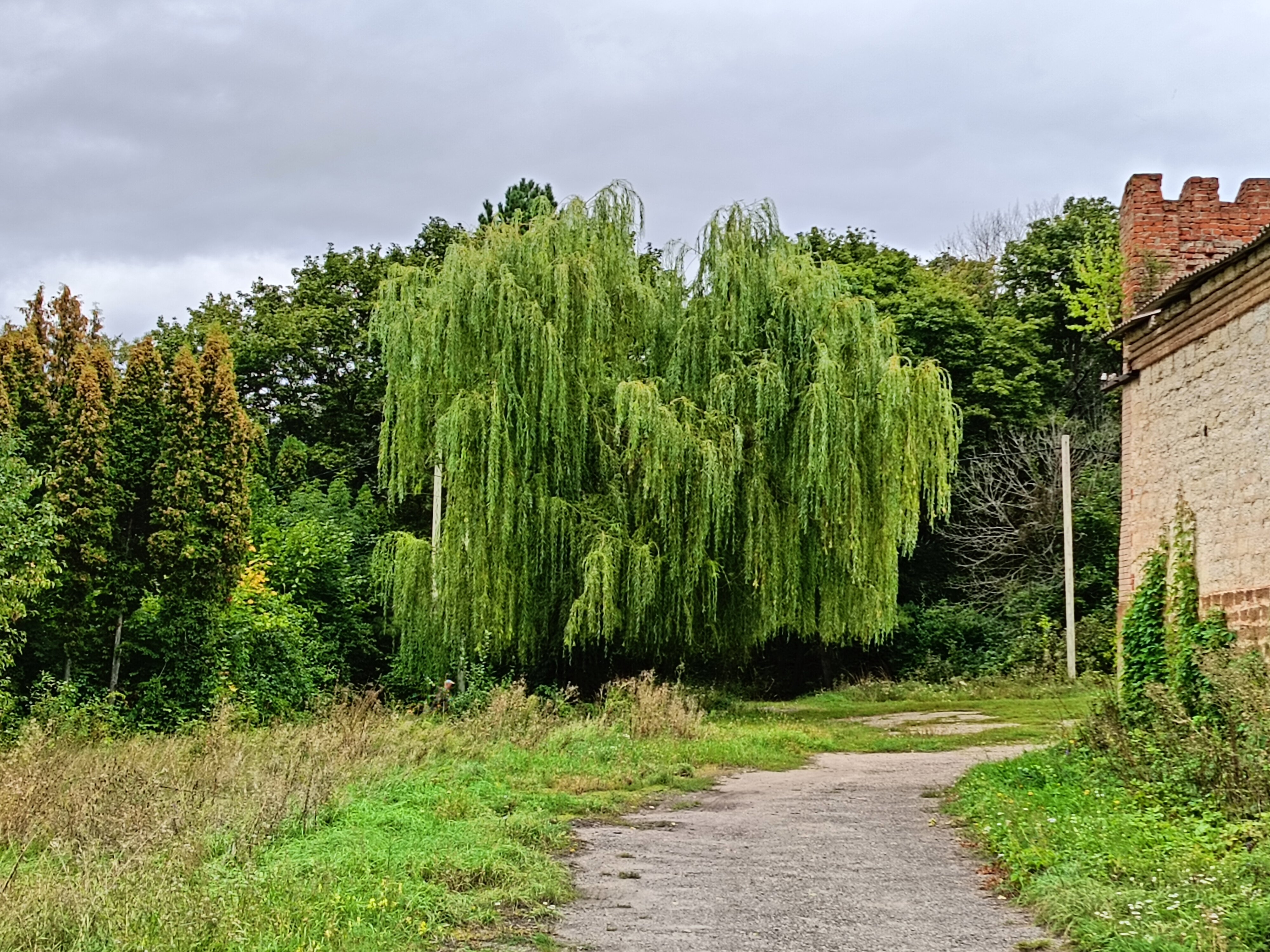 Фото Причал Николаича