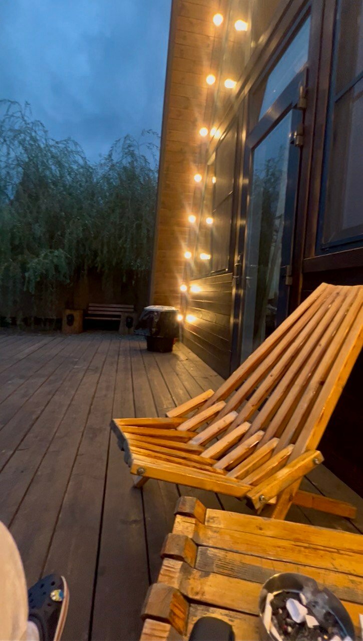 Фото Ёлки-Иголки