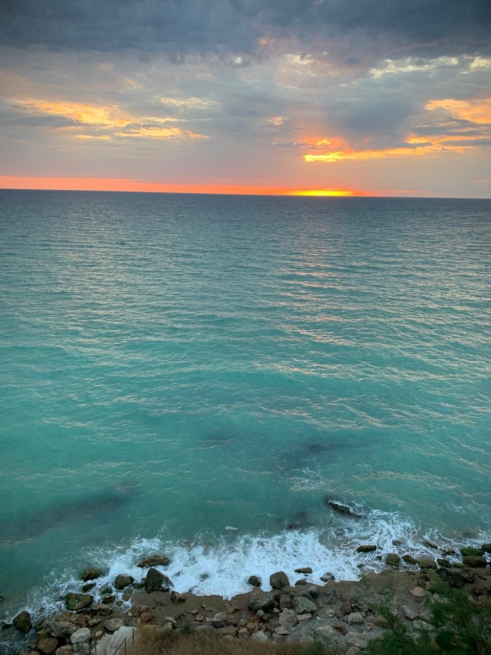 Фото Вязовая роща