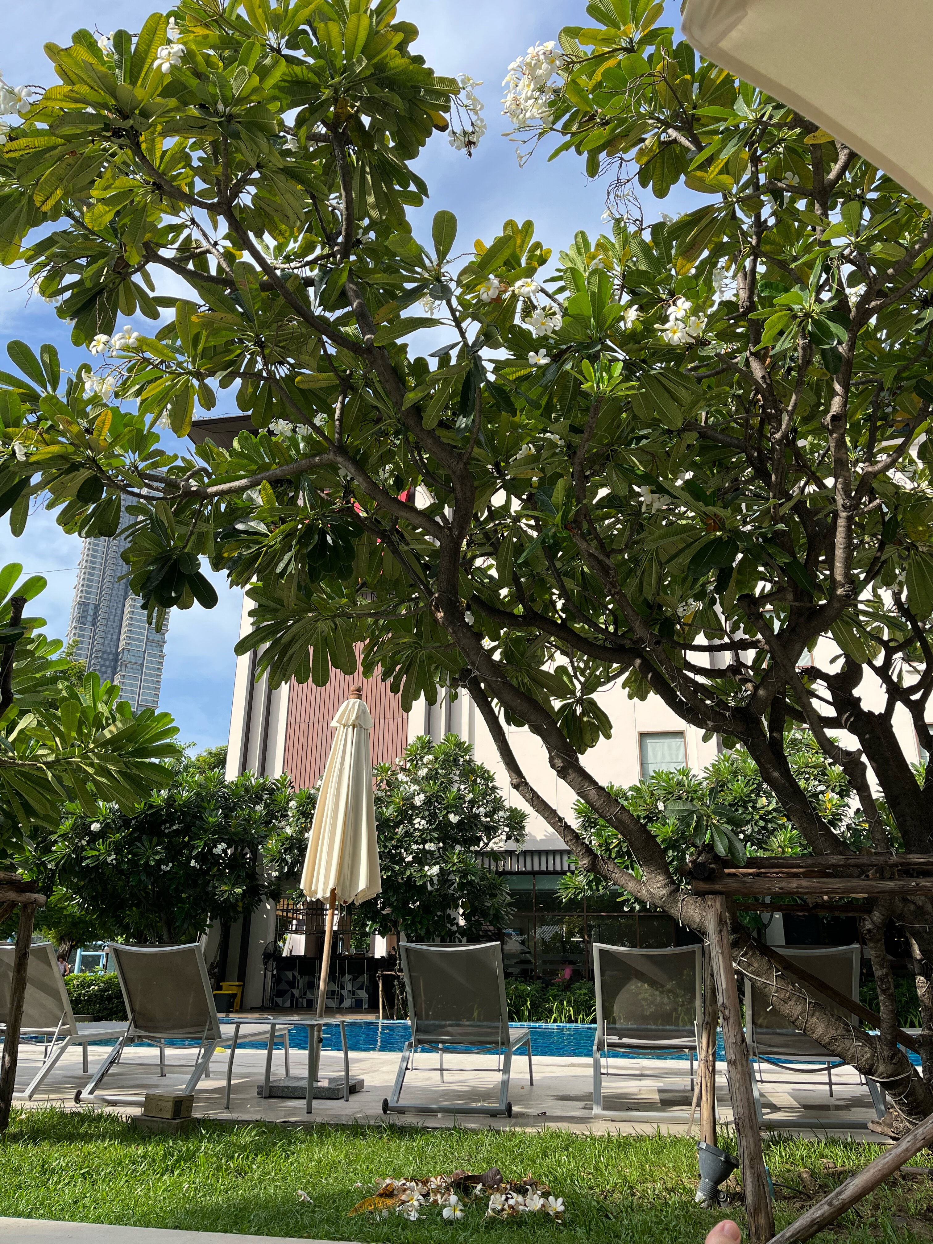 Фото Ibis Bangkok Riverside