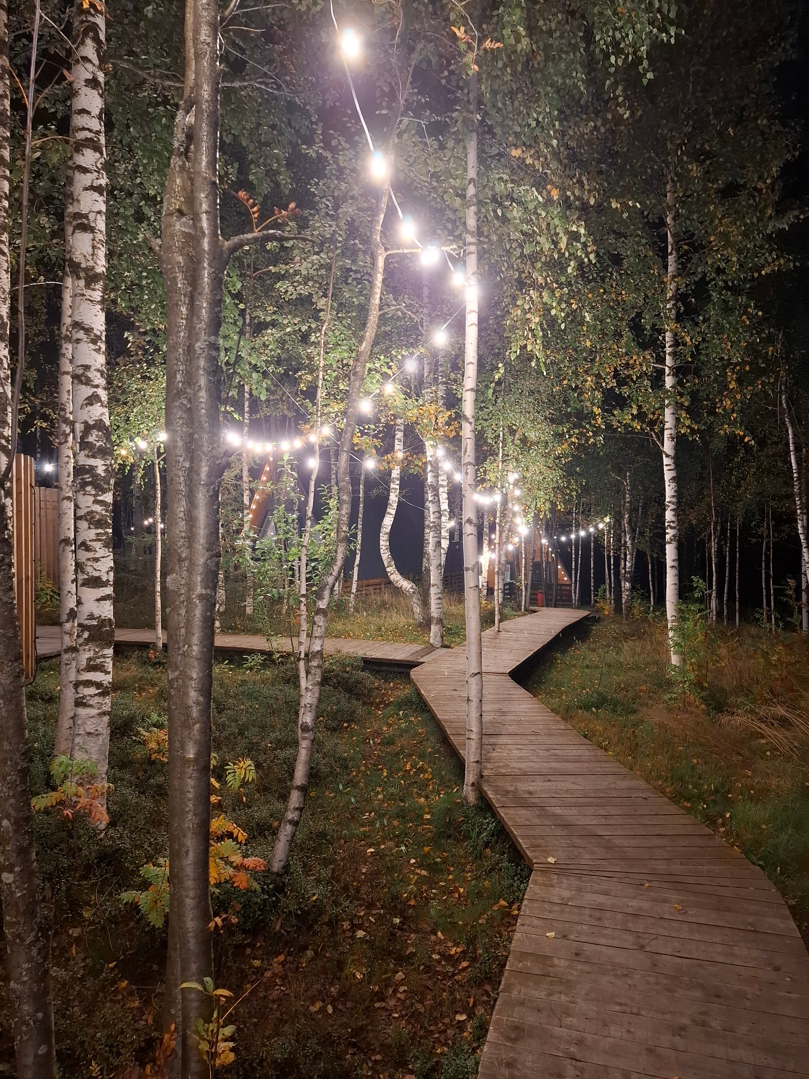 Фото Губаха Пик