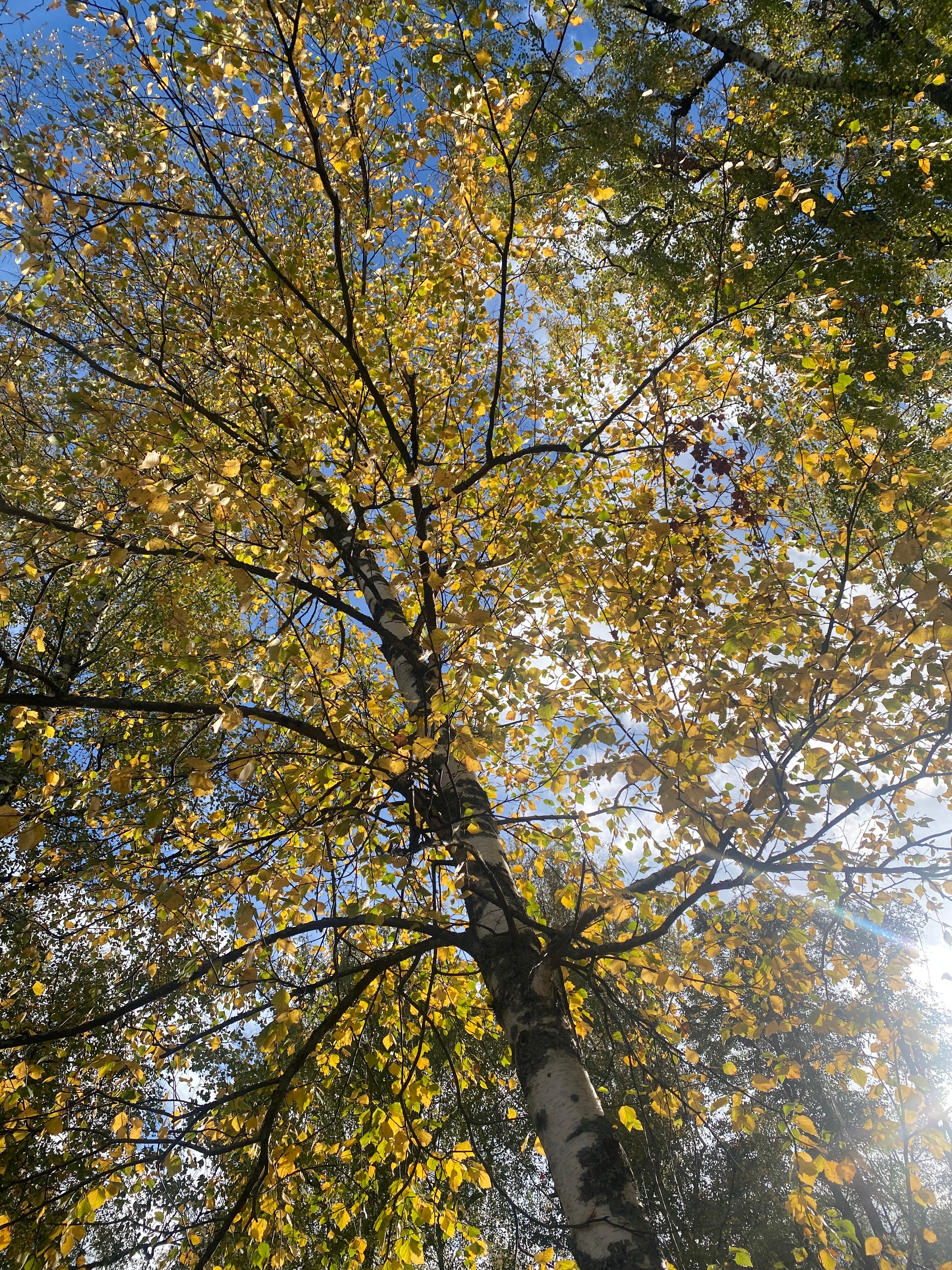 Фото Галерея Левитан