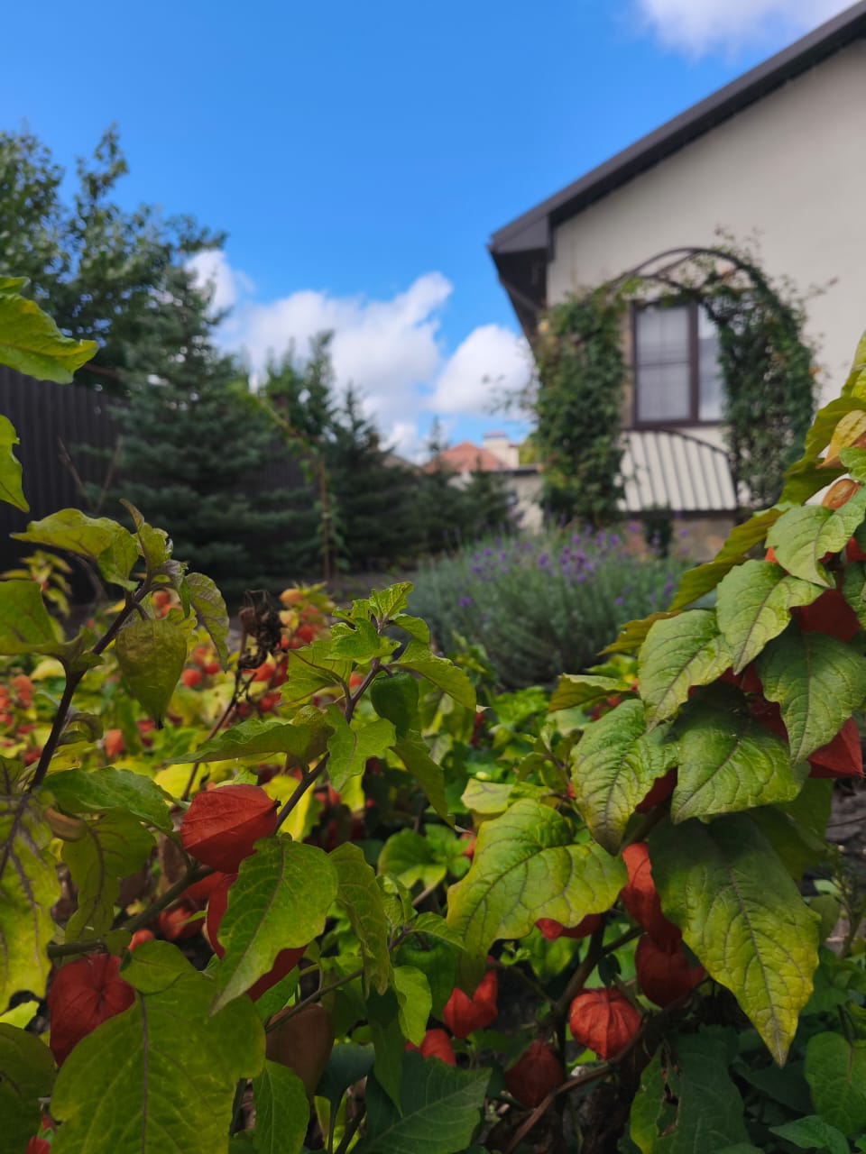 Фото У Евгении