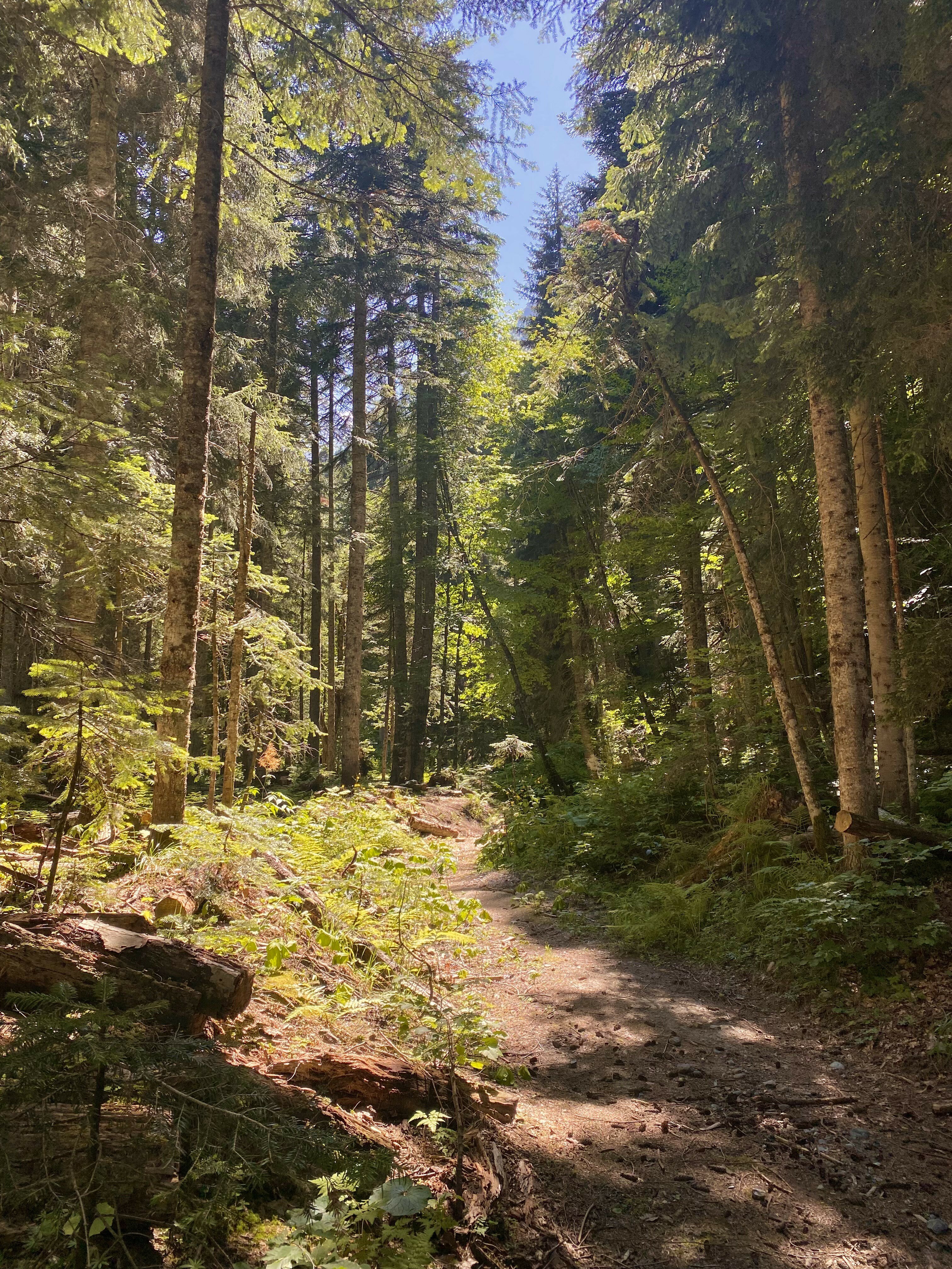 Фото Времена Года